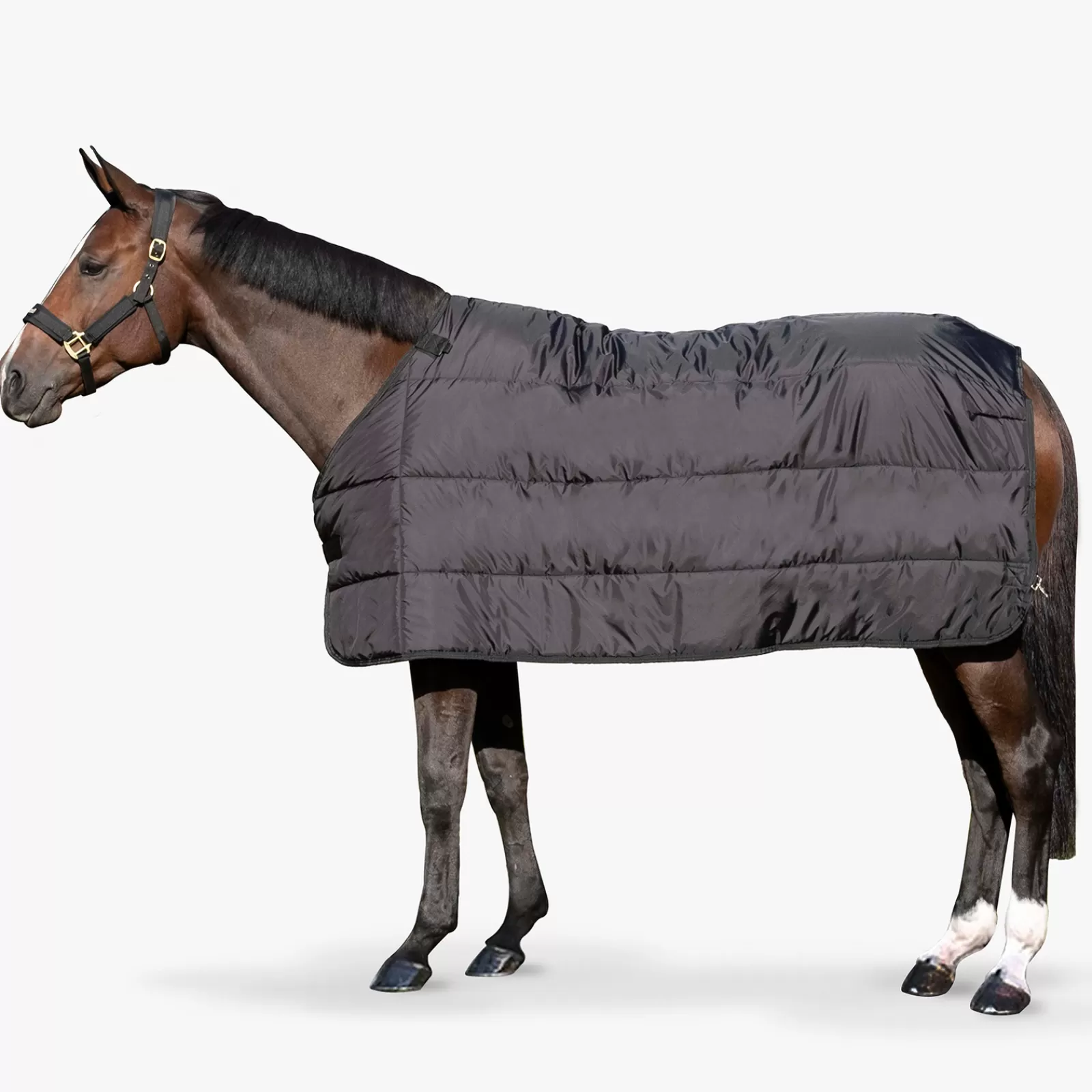 Clearance Back On Track Doublure Felix 200G Couvertures D'écurie