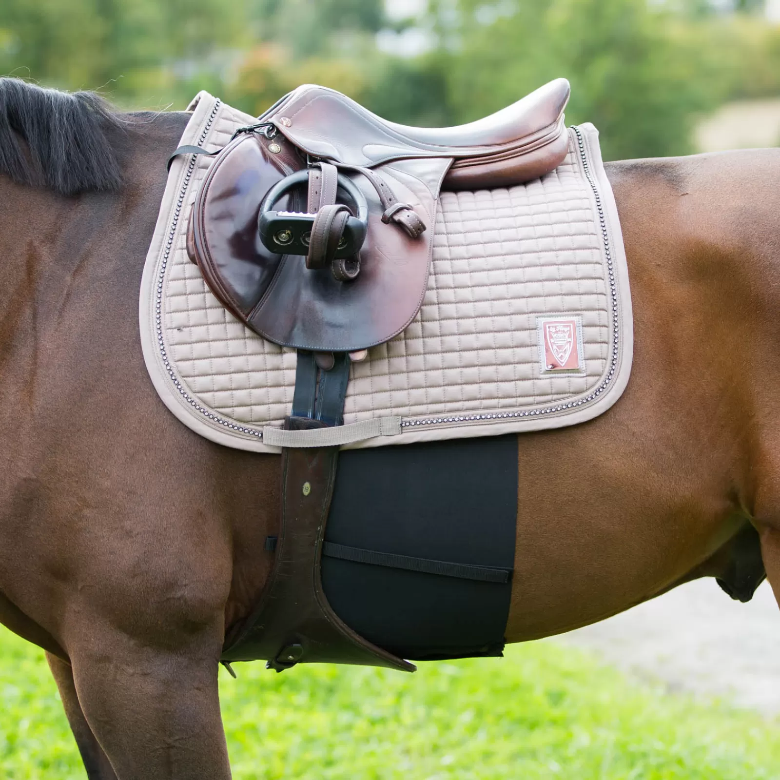 Online Bande De Respect Sangles De Cheval