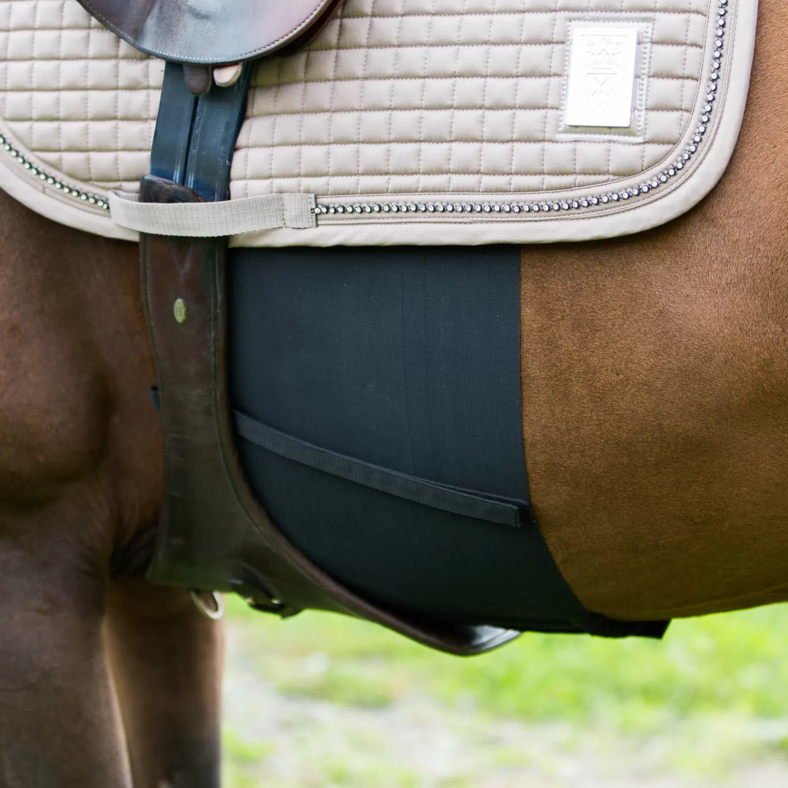 Online Bande De Respect Sangles De Cheval