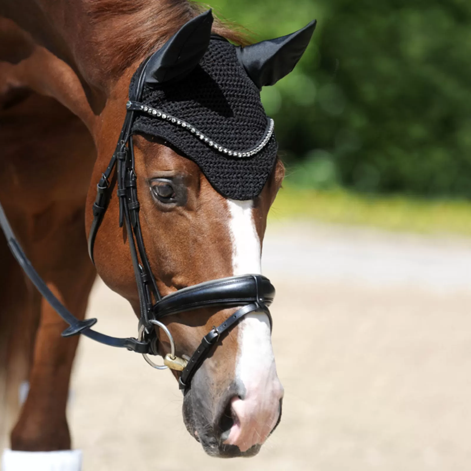 New Bonnet Anti-Mouche Easy Bonnet Cheval