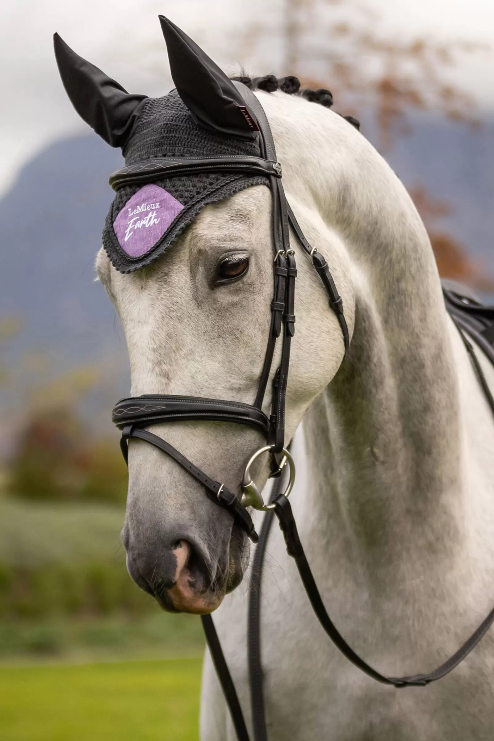 Clearance Bonnet Anti-Mouches Earth Planete Bonnet Cheval
