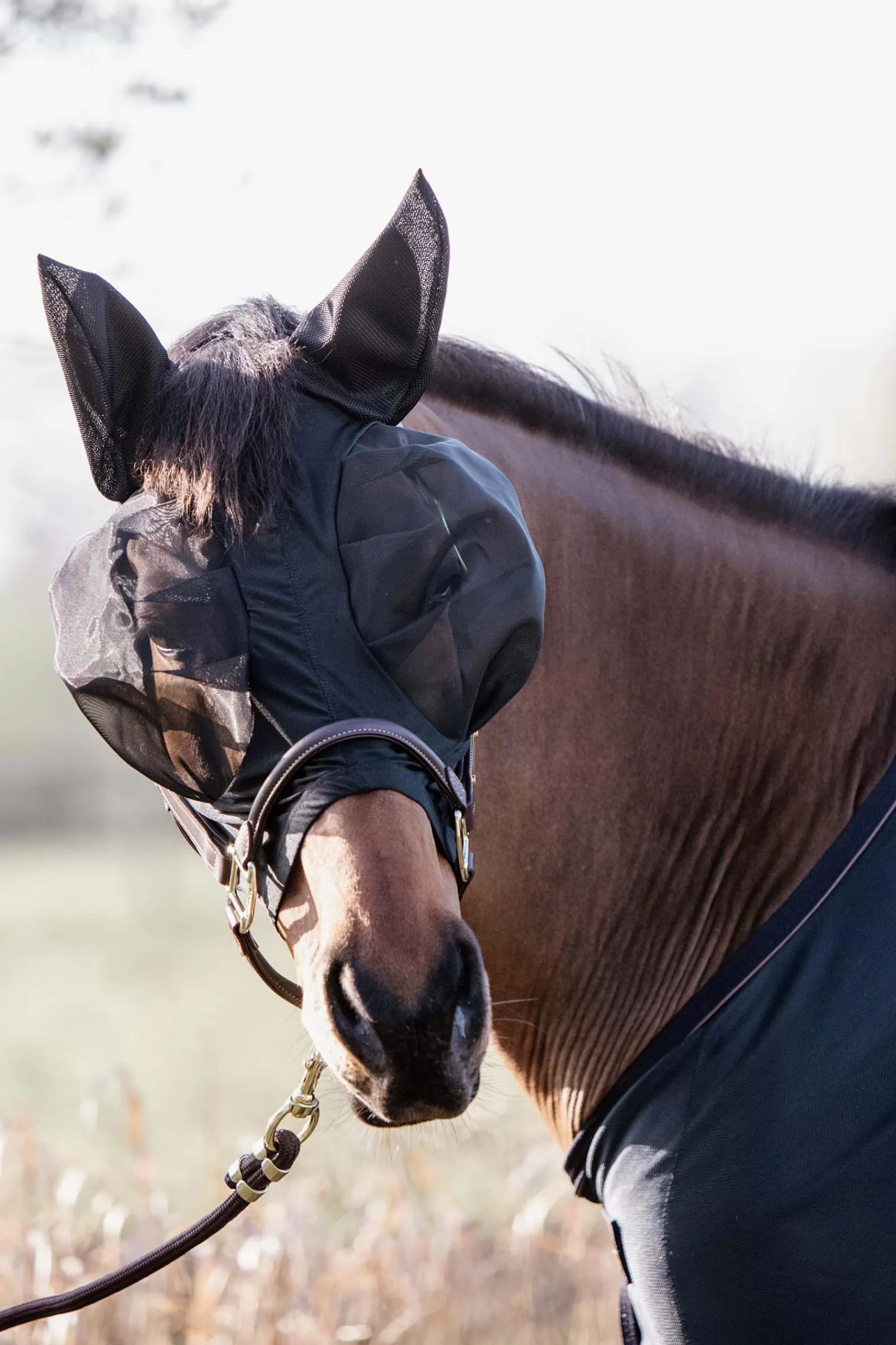 Cheap Bonnet Masque Anti-Mouches Horsewear Slim Fit, Ajustement Pres Du Cheval Masques Anti-Mouches & Chasse-Mouches