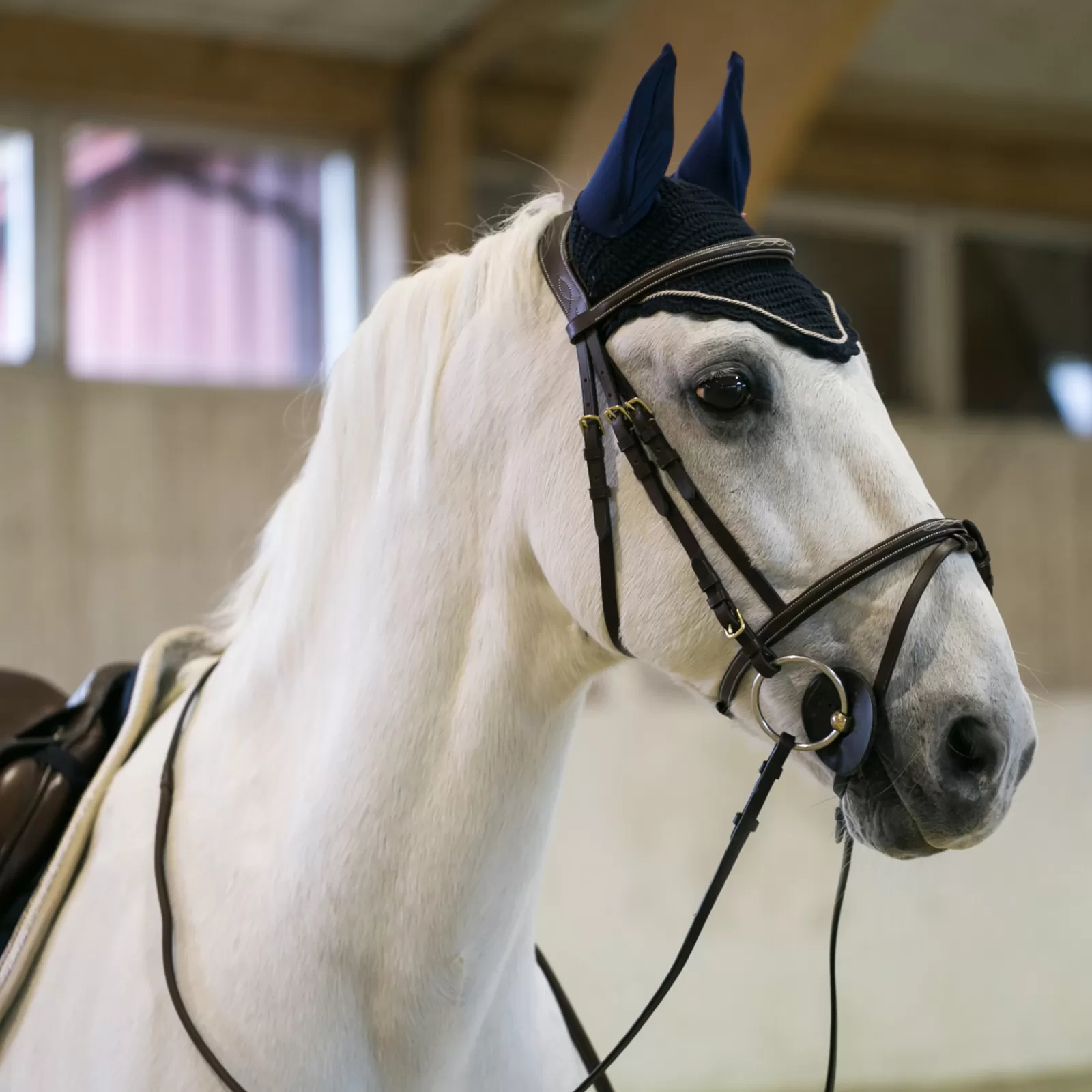 Flash Sale Bonnet Sam Avec Oreilles Sam B Vertigo (Bonnet Chasse-Mouches) Bonnet Cheval