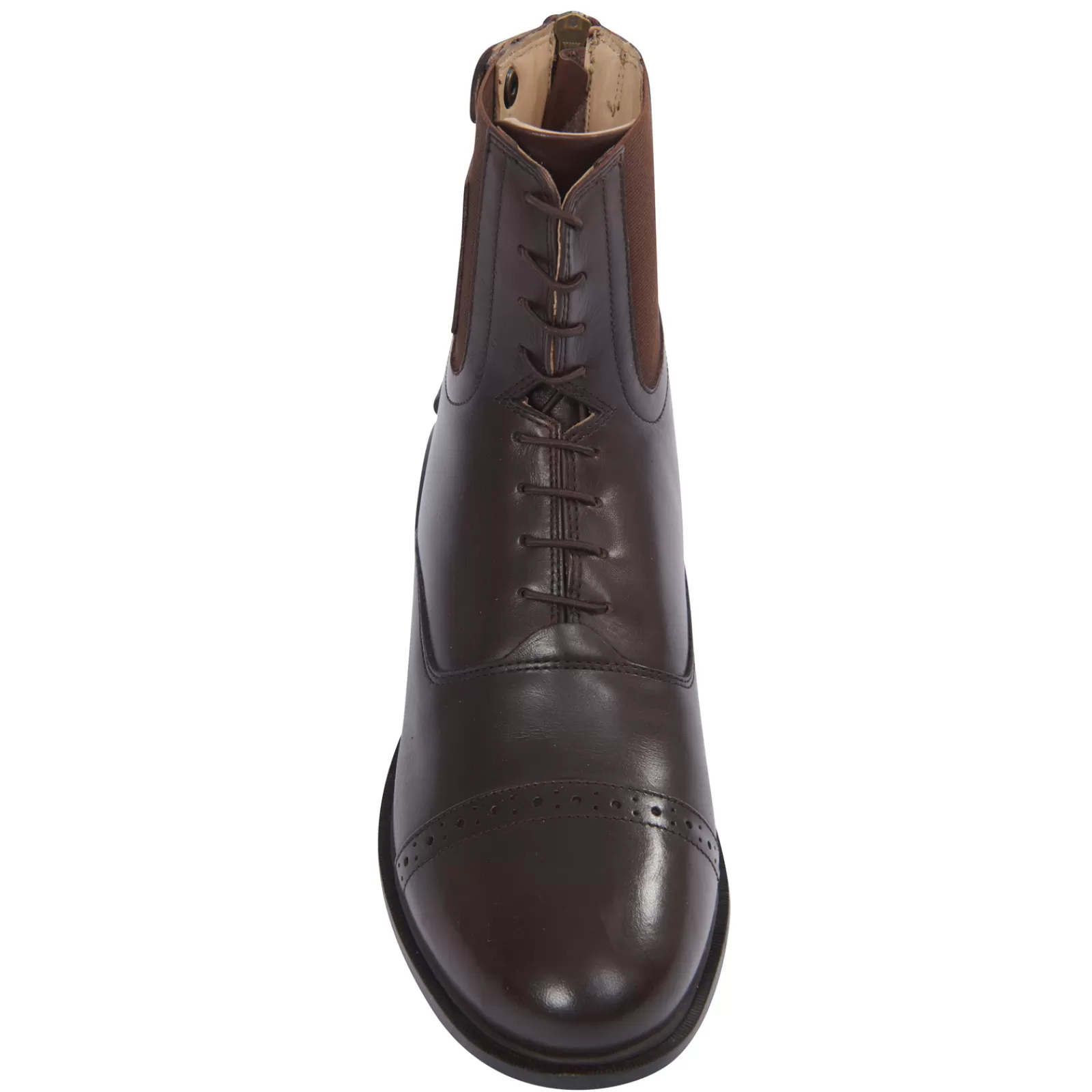 dublin Boots Paddock Evolution Avec Lacets< Boots & Bottines D'équitation