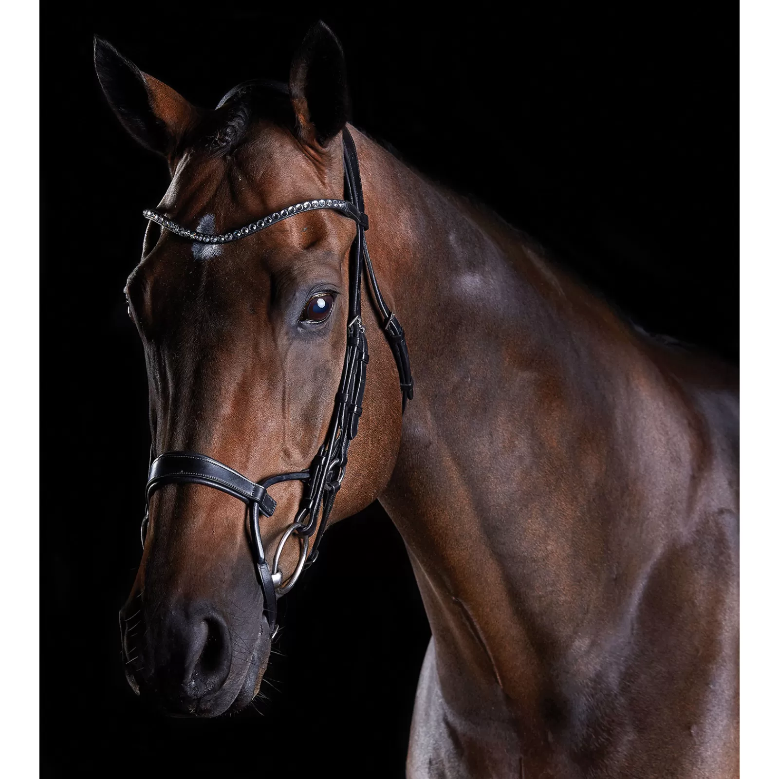 Flash Sale Bridon Avec Cristaux Comfitec Bridons Et Filets