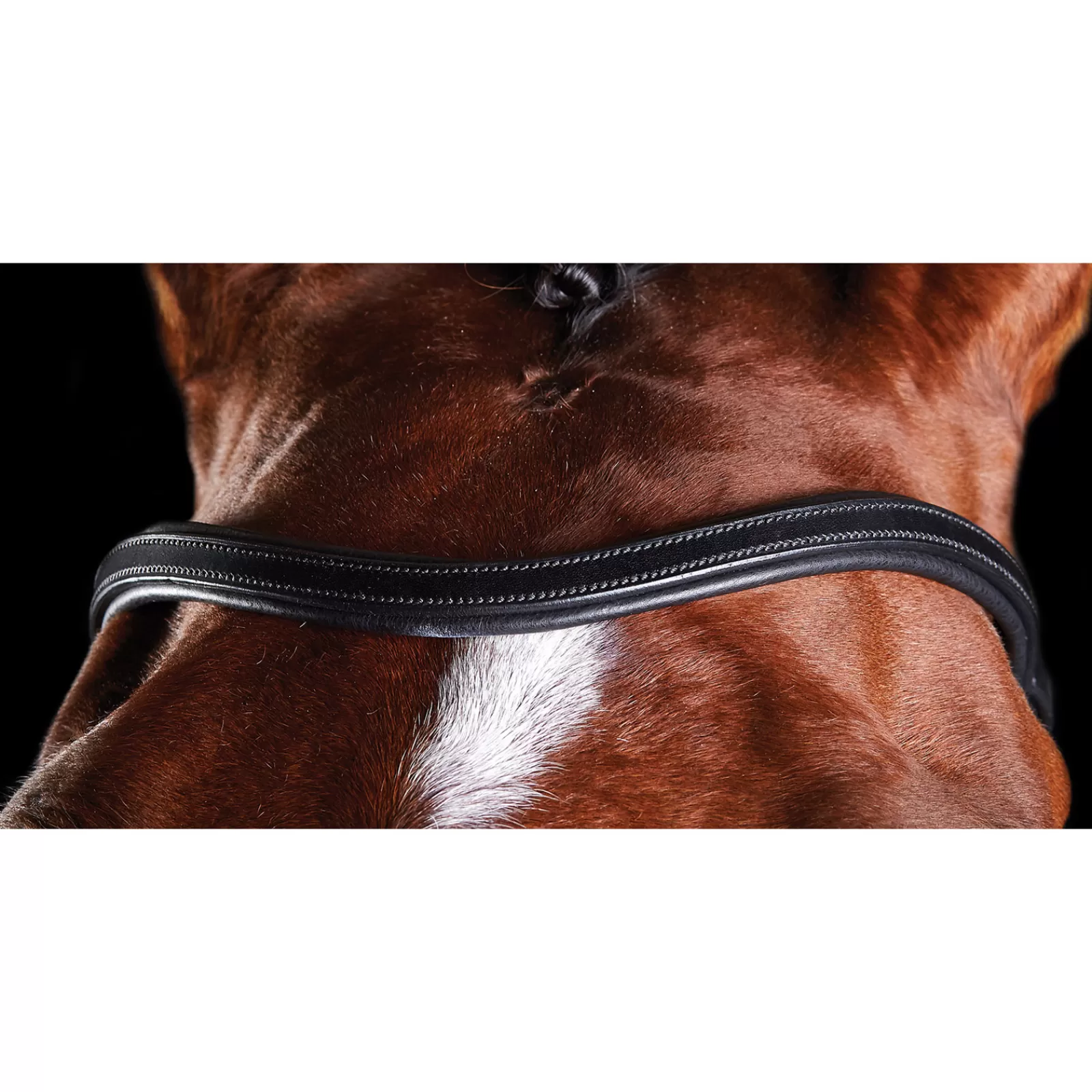 New Bridon Comfitec Entrainement Bridons Et Filets