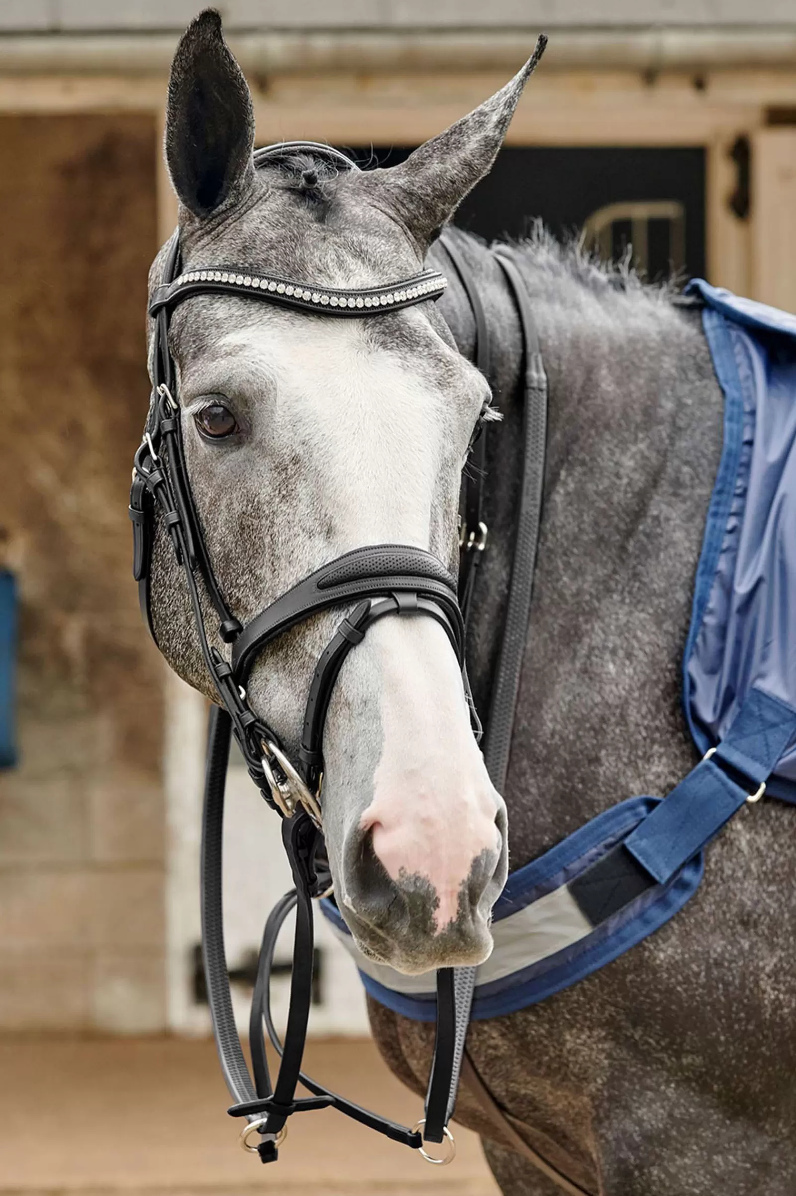 Sale Bridon Perfore John Whitaker Chicago Bling Bridons Et Filets