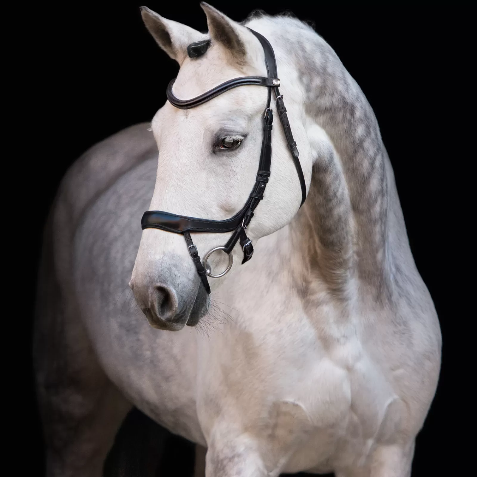 Best Sale Bridon Equitus Alpha Bridons Et Filets