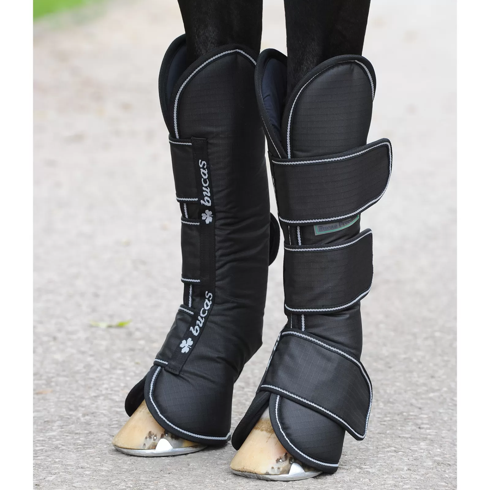 Hot Freedom Boots Protections Cheval
