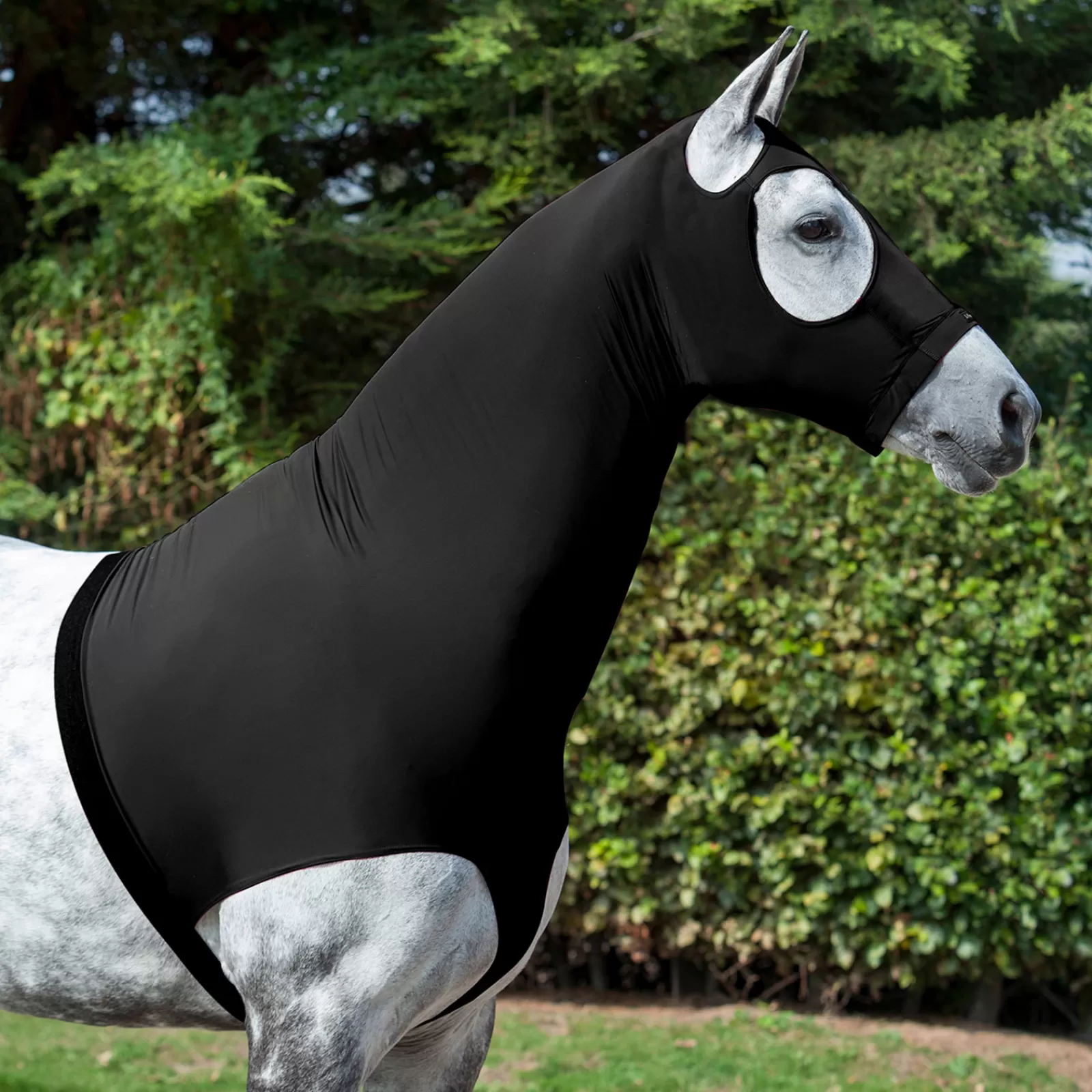 Store Camail En Lycra Couvertures D'écurie