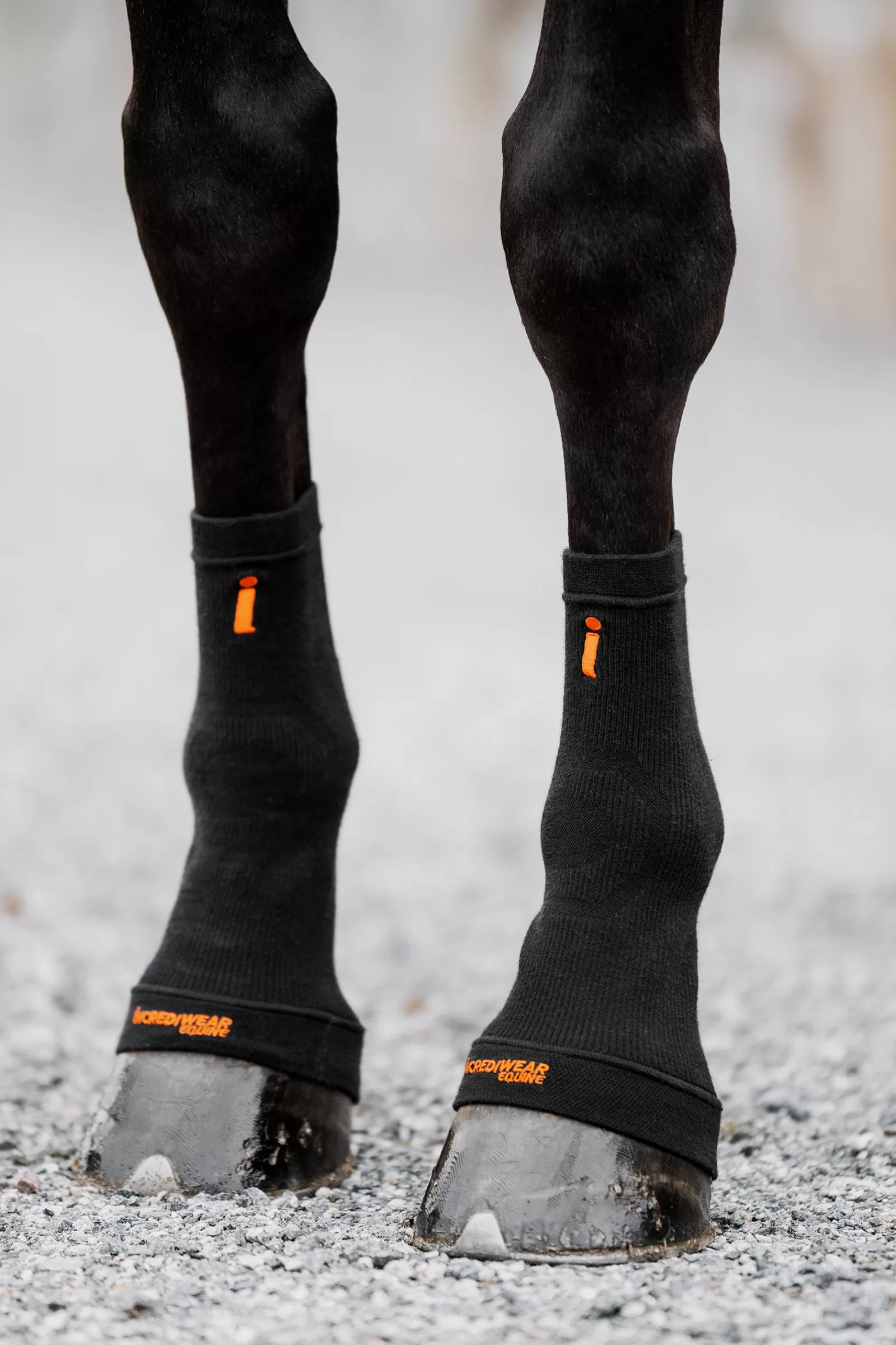 Clearance Chaussettes Circulation Sabots Hipposandales
