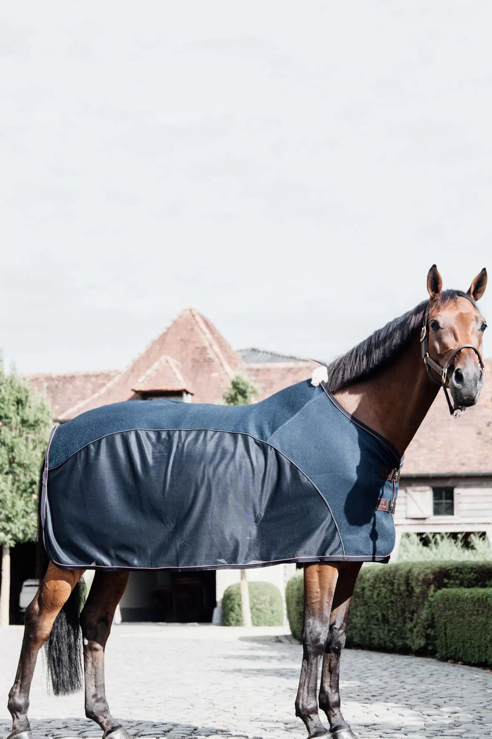 Flash Sale Chemise Anti-Mouche Combo Horsewear Couverture Polaire & Sechante