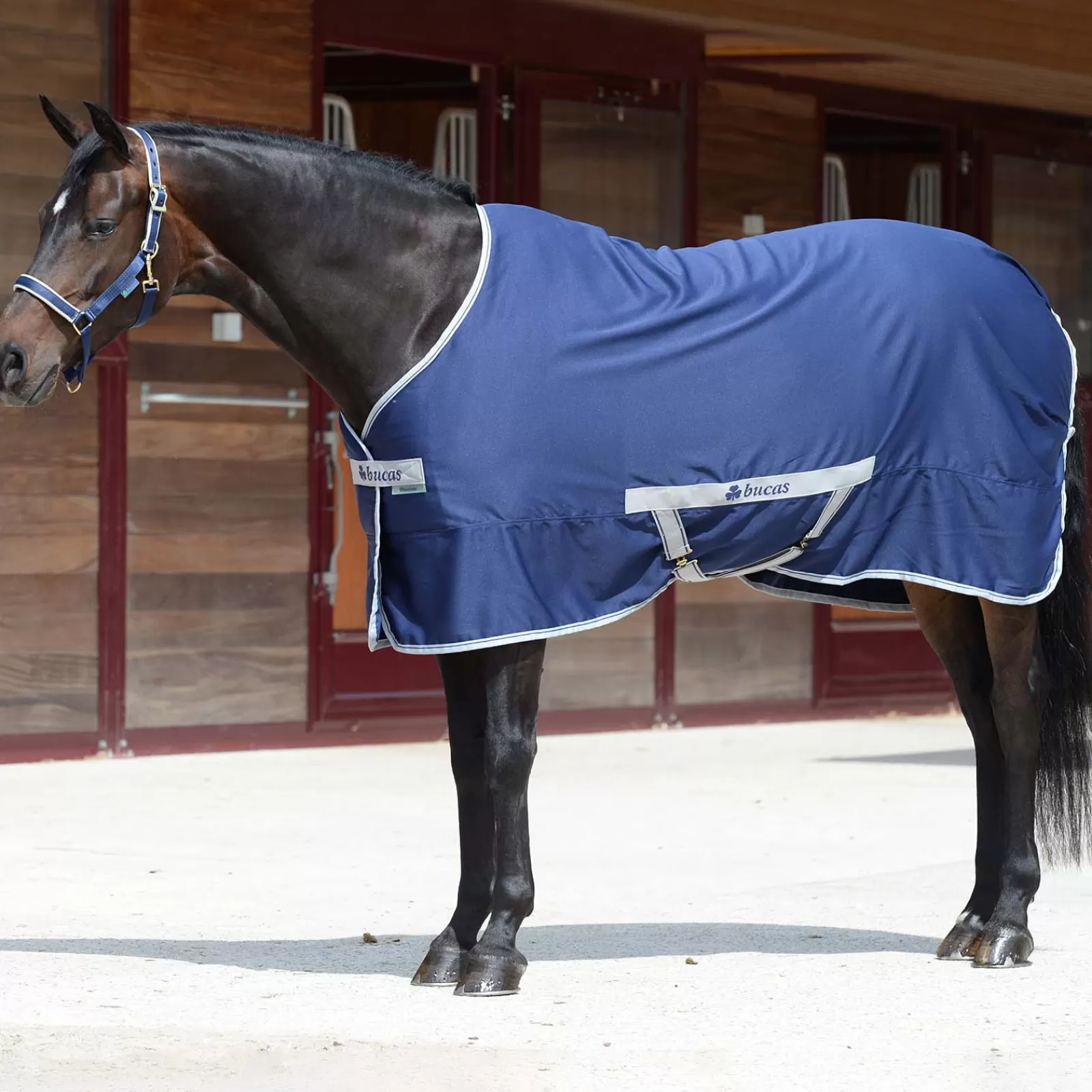 Discount Chemise Twill Freedom Liberte Couvertures Imperméables
