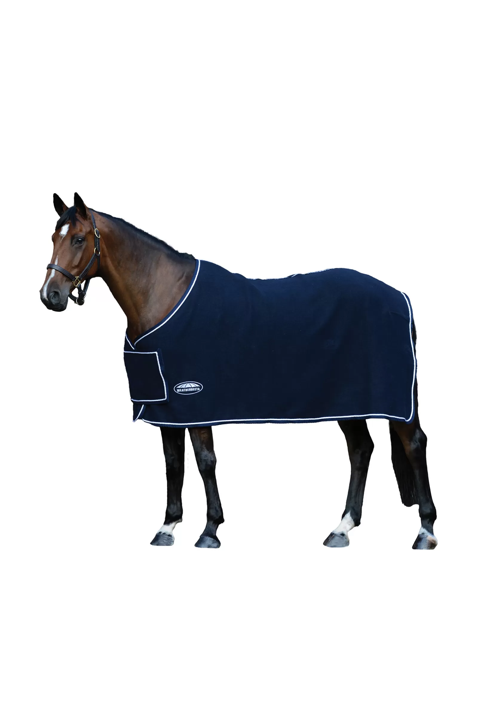 Best Chemise De Concours Laine Couvertures D'écurie