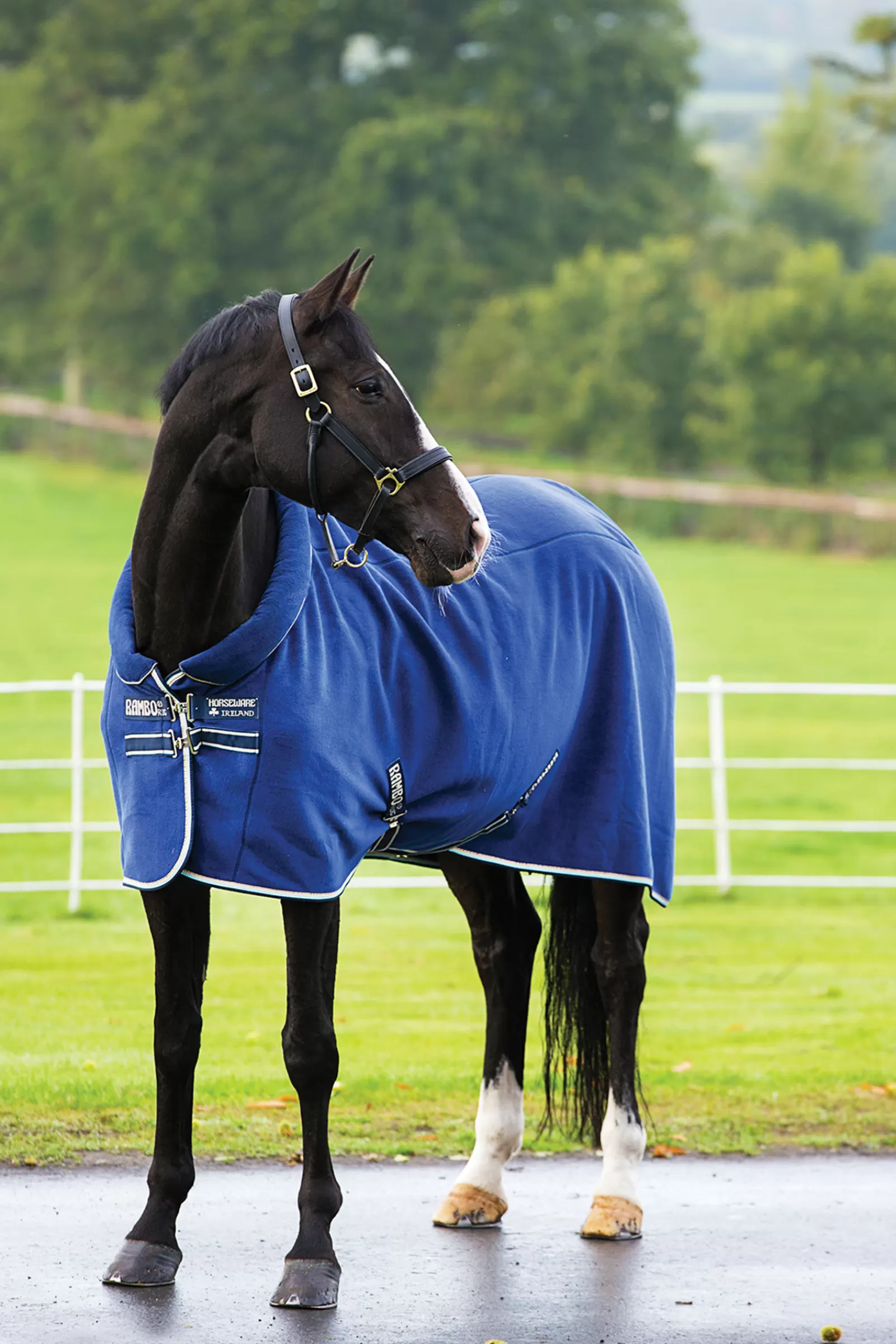 Fashion Chemise Polaire Rambo Couverture Polaire & Sechante
