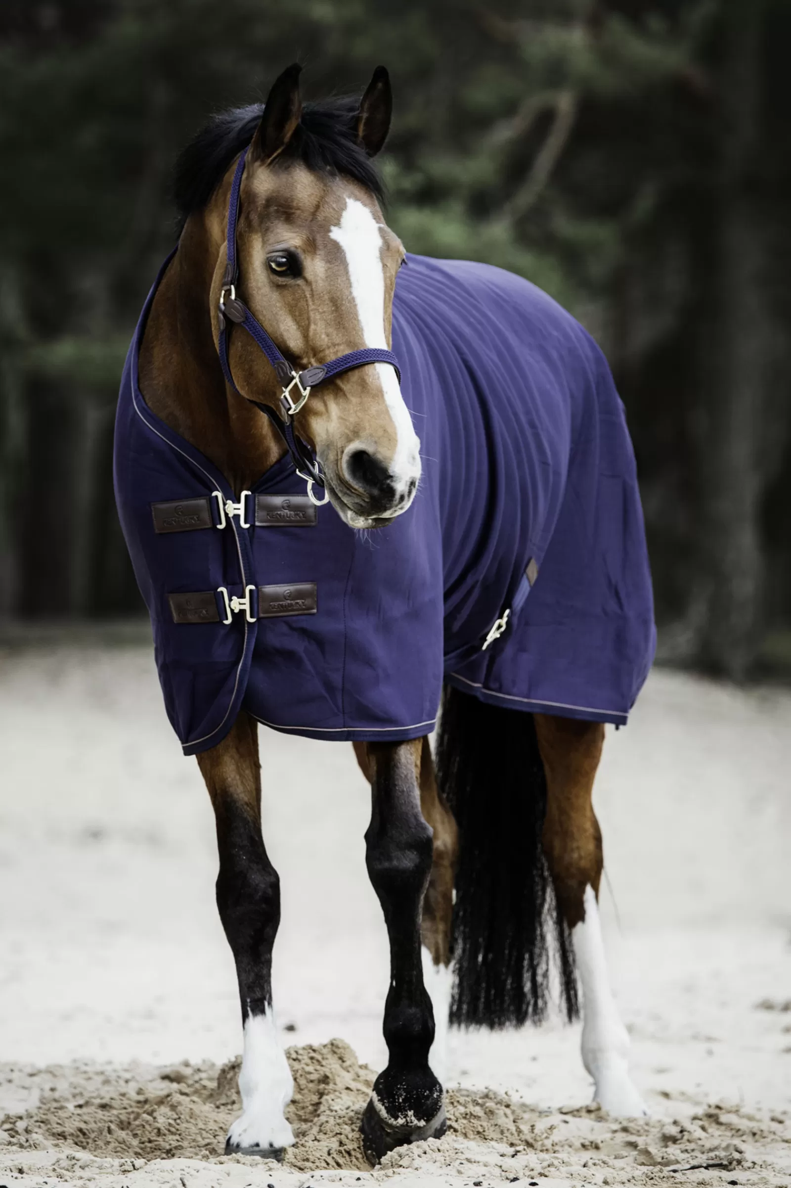 Sale Chemise Sechante Fleece Horsewear Couverture Polaire & Sechante