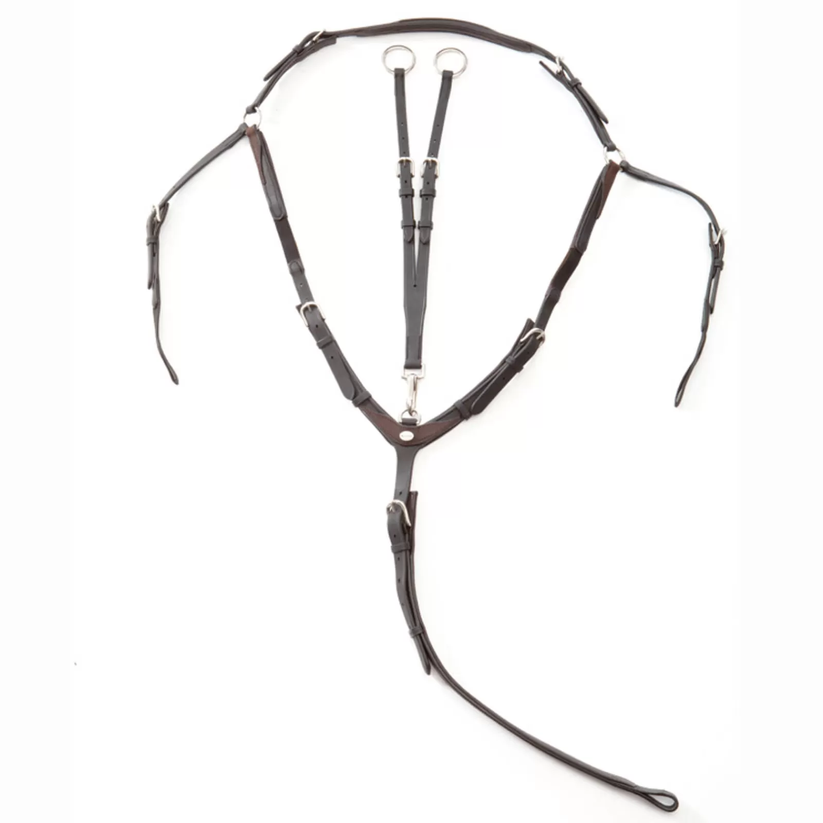 Clearance Collier De Chasse Everyday Afficher Toutes Les Catégories