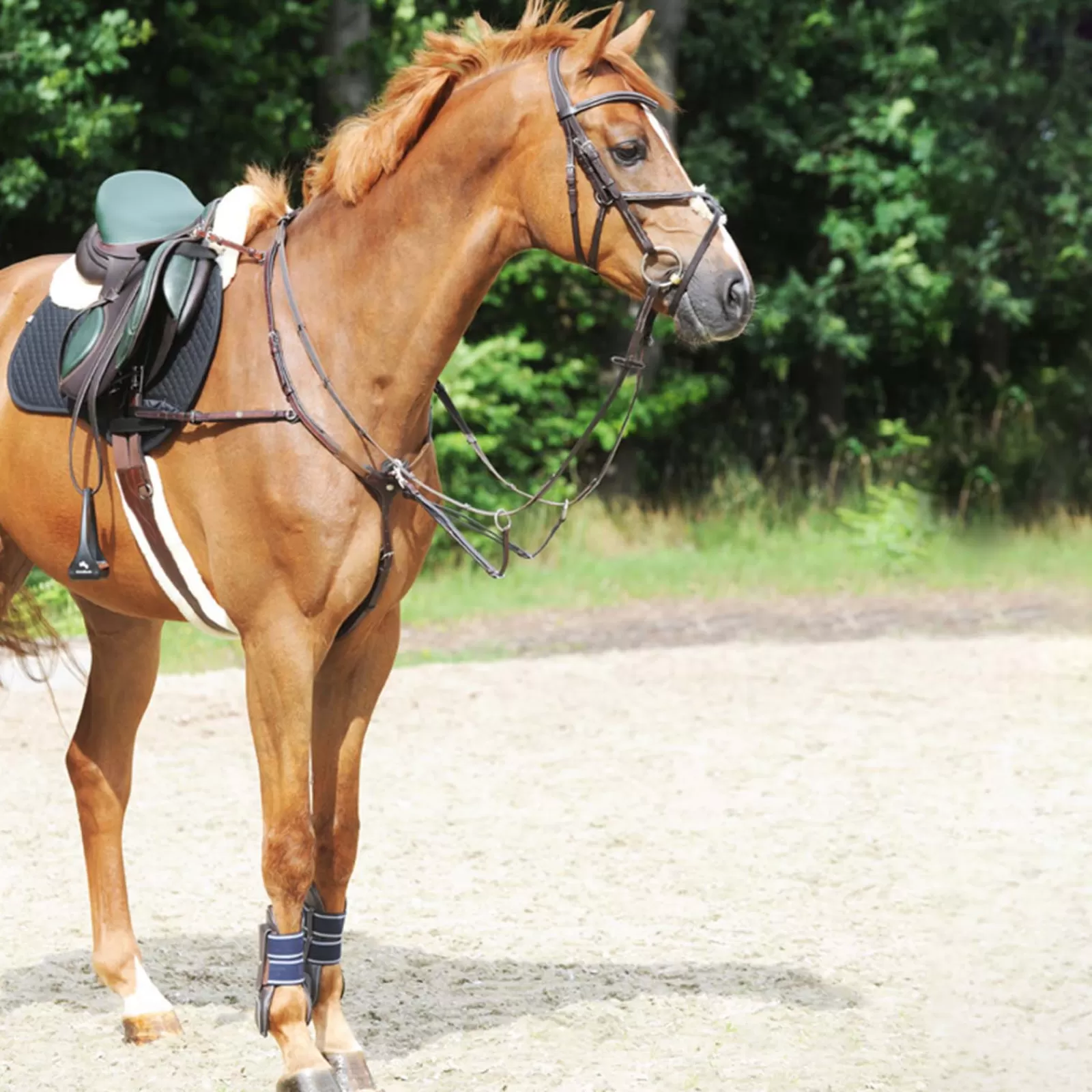Shop Collier De Chasse Leyla Colliers De Chasse