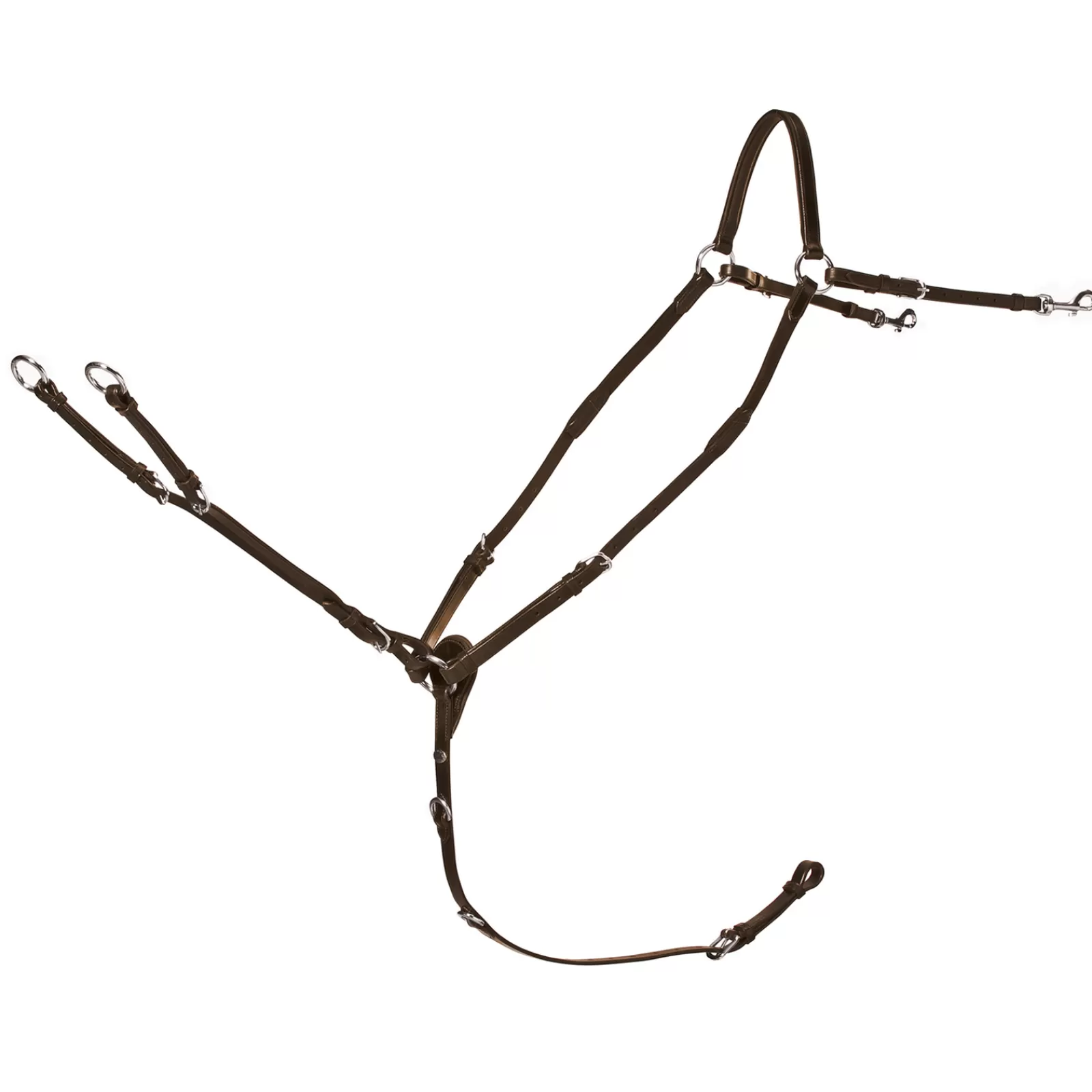Sale Collier De Chasse Race Ii, Collier De Chasse Colliers De Chasse