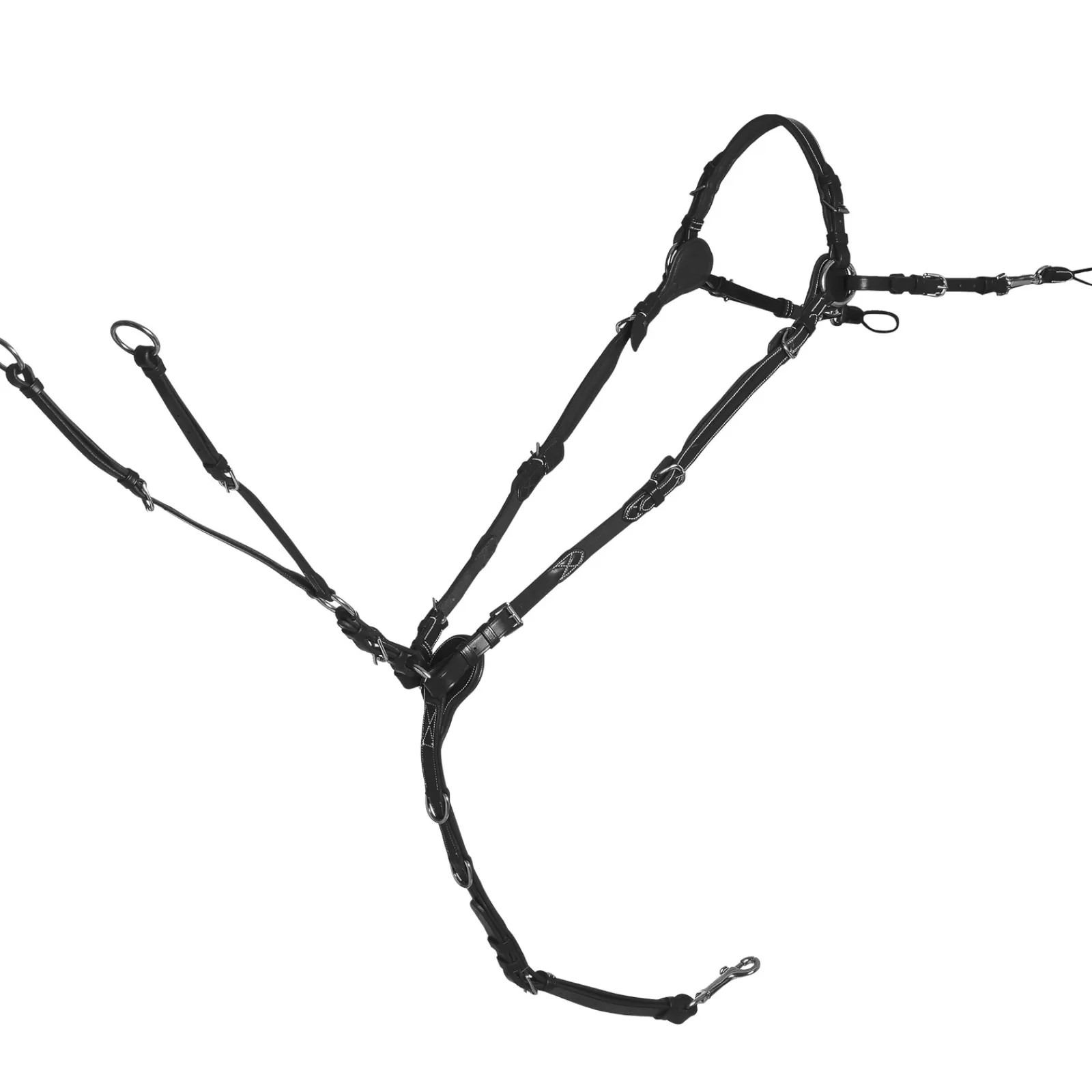 Discount Collier De Chasse Sevilla Select Colliers De Chasse