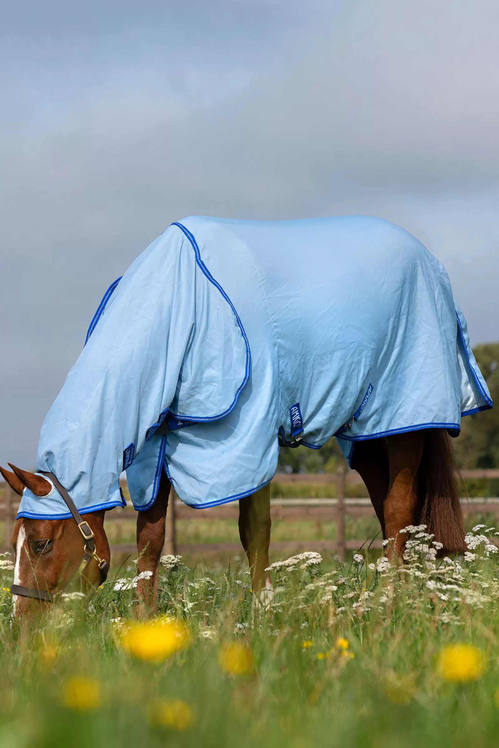 Cheap Couverture Anti-Eczéma Amigo Avec Couvre-Encolure Fixe, Poney Couvertures Anti-Eczéma