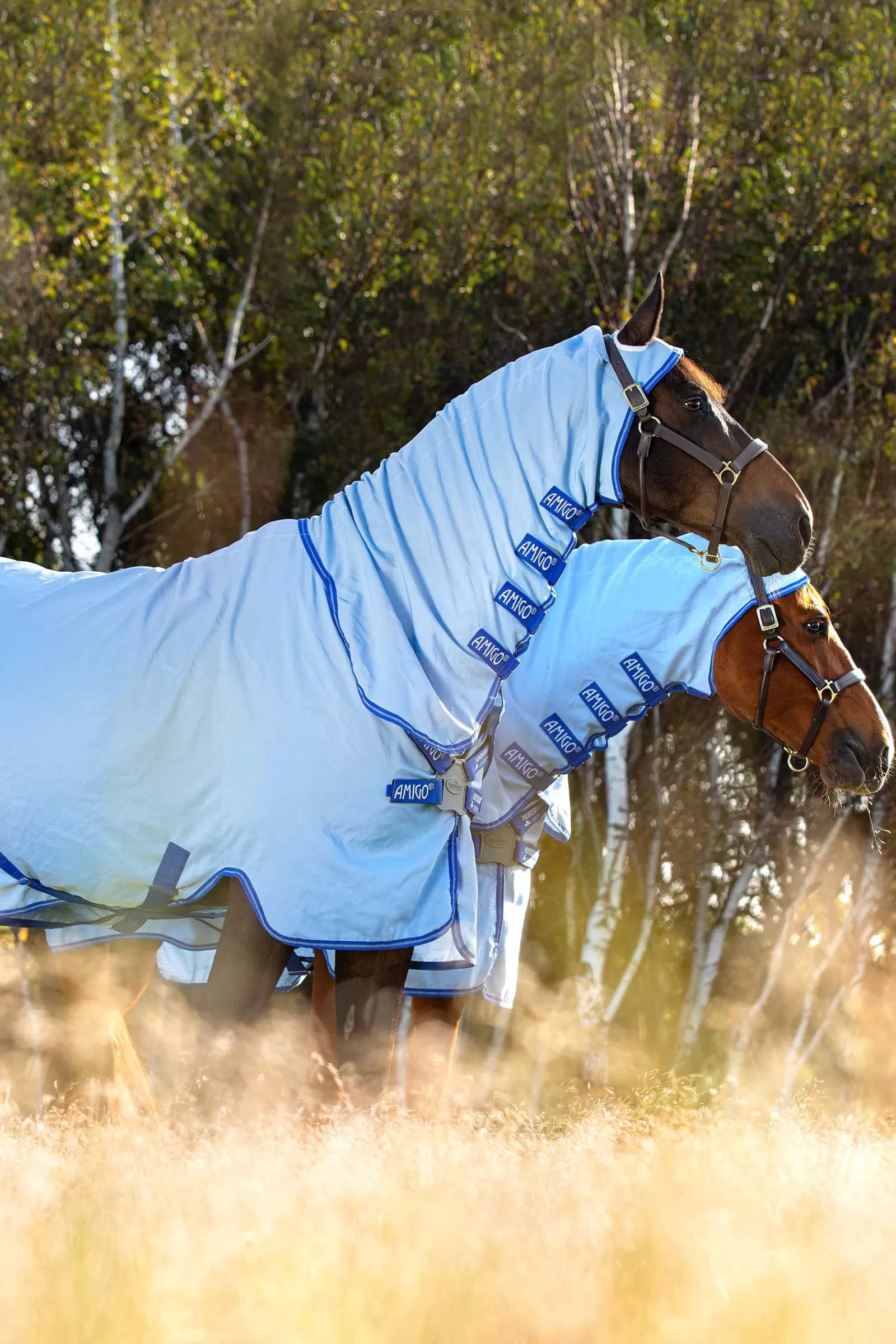 Cheap Couverture Anti-Eczéma Amigo Avec Couvre-Encolure Fixe, Poney Couvertures Anti-Eczéma