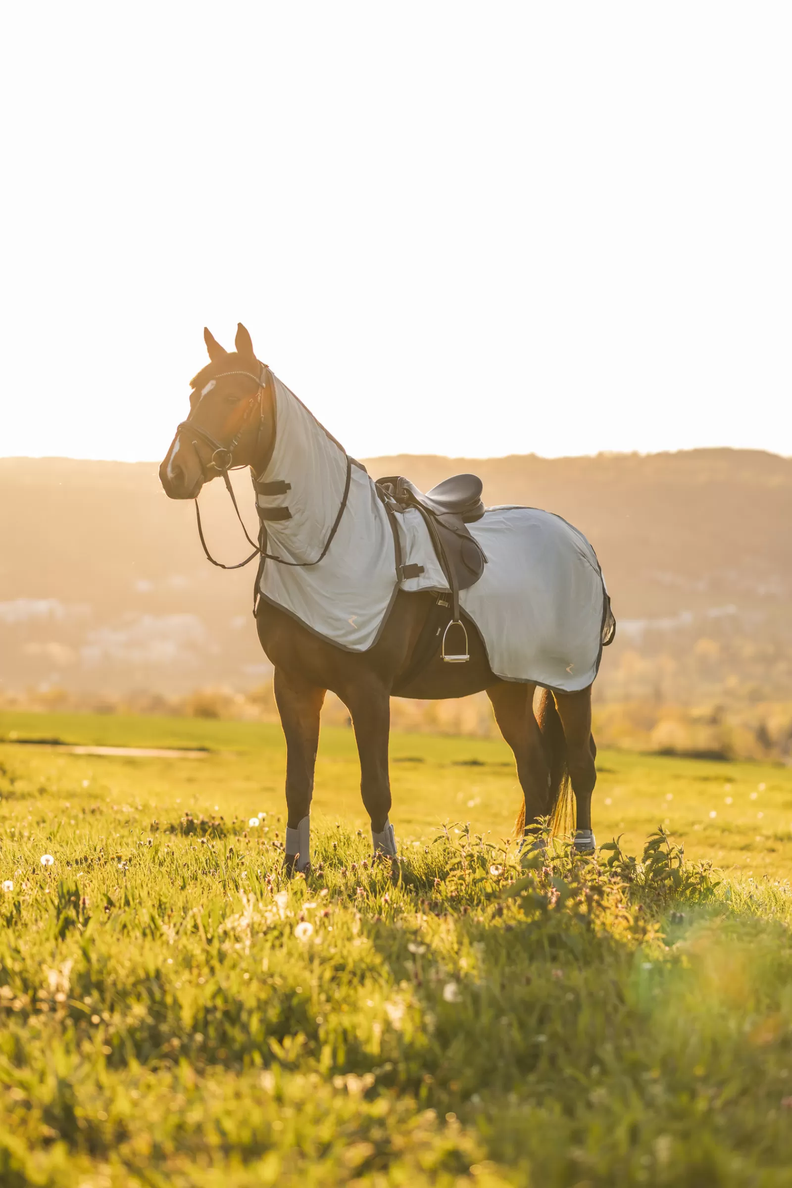 Best Sale Couverture Anti-Insectes Pour Monter A Cheval Eira Avec Encolure Amovible Couvertures Anti-Mouches