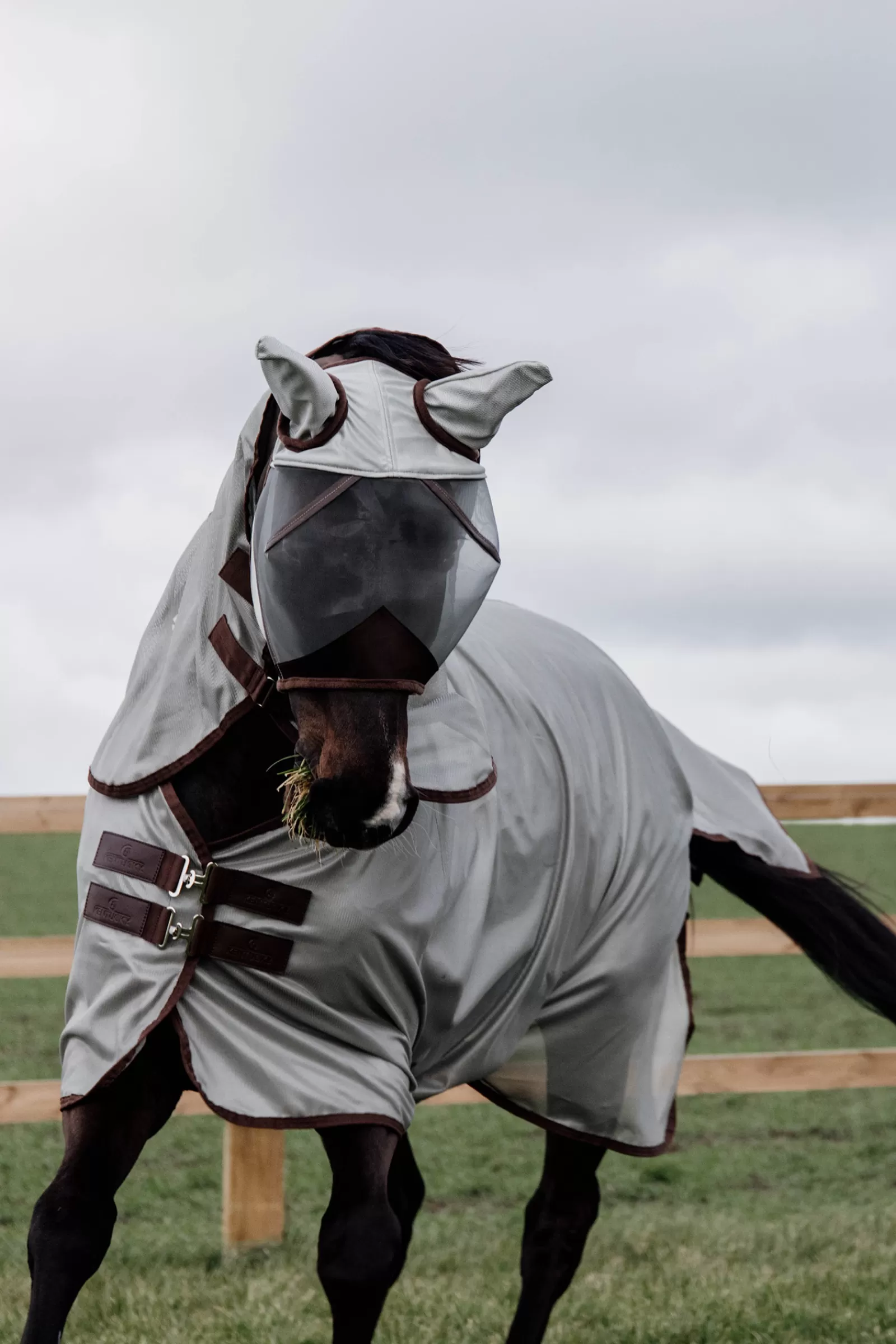 Hot Couverture Anti-Mouches Classic Horsewear Couvertures Anti-Mouches