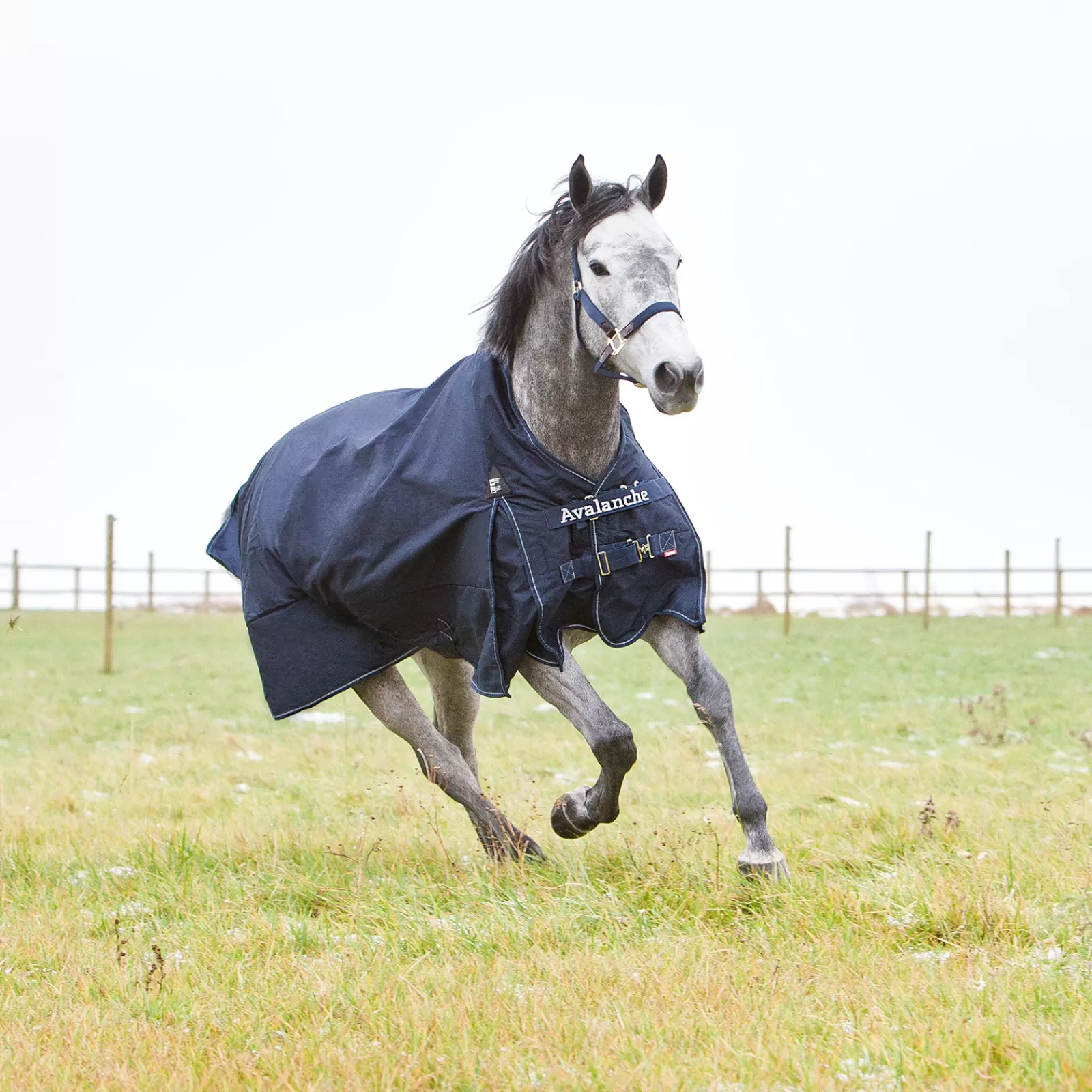 Hot Couverture Avalanche 1200D Grammage Lourd 300G Couvertures D'Exterieur Cheval