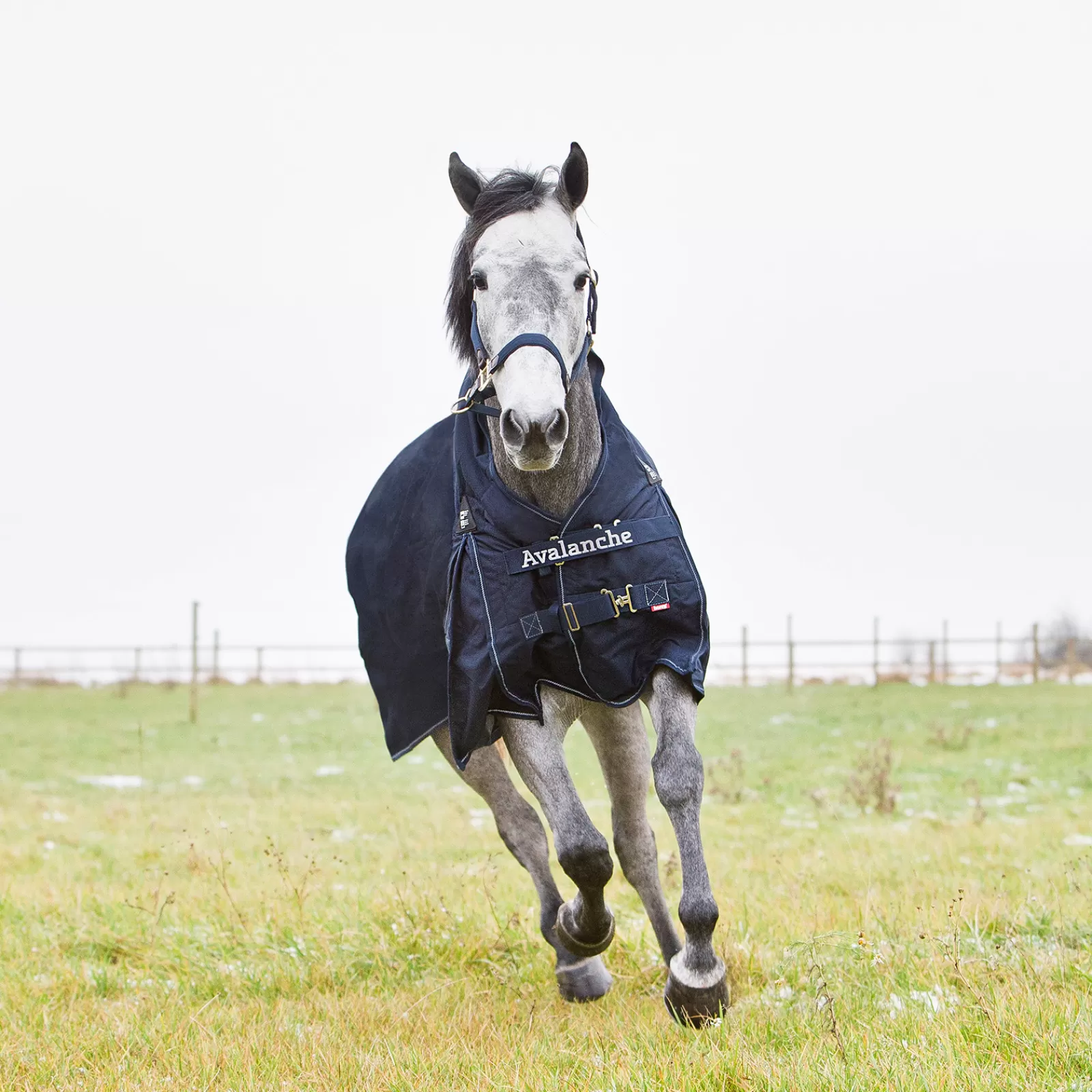 Hot Couverture Avalanche 1200D Grammage Lourd 300G Couvertures D'Exterieur Cheval