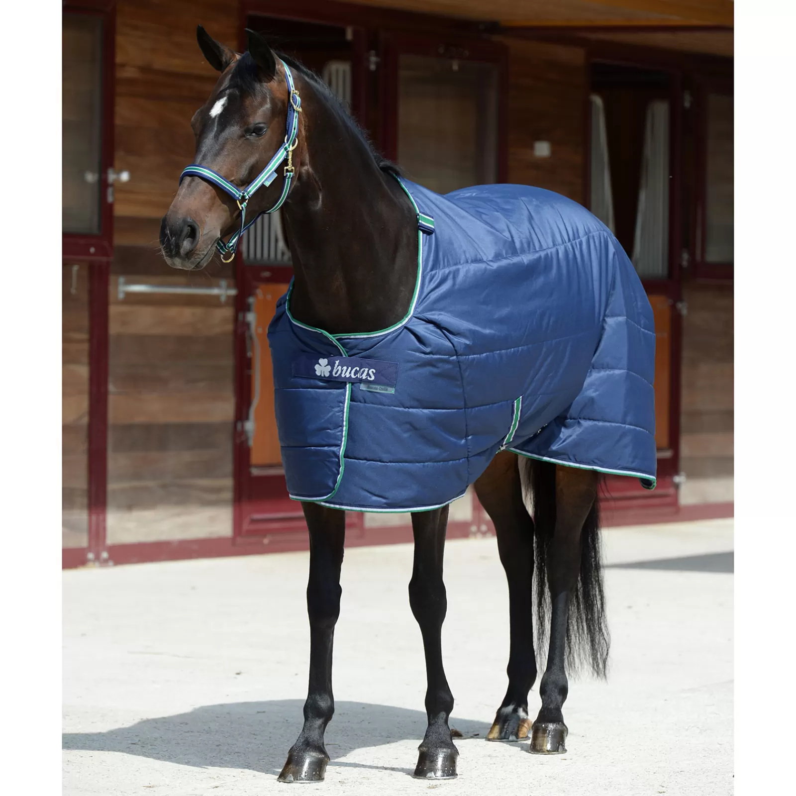 Best Sale Couverture Quilt 150 G Sd Encolure Large Couvertures D'écurie