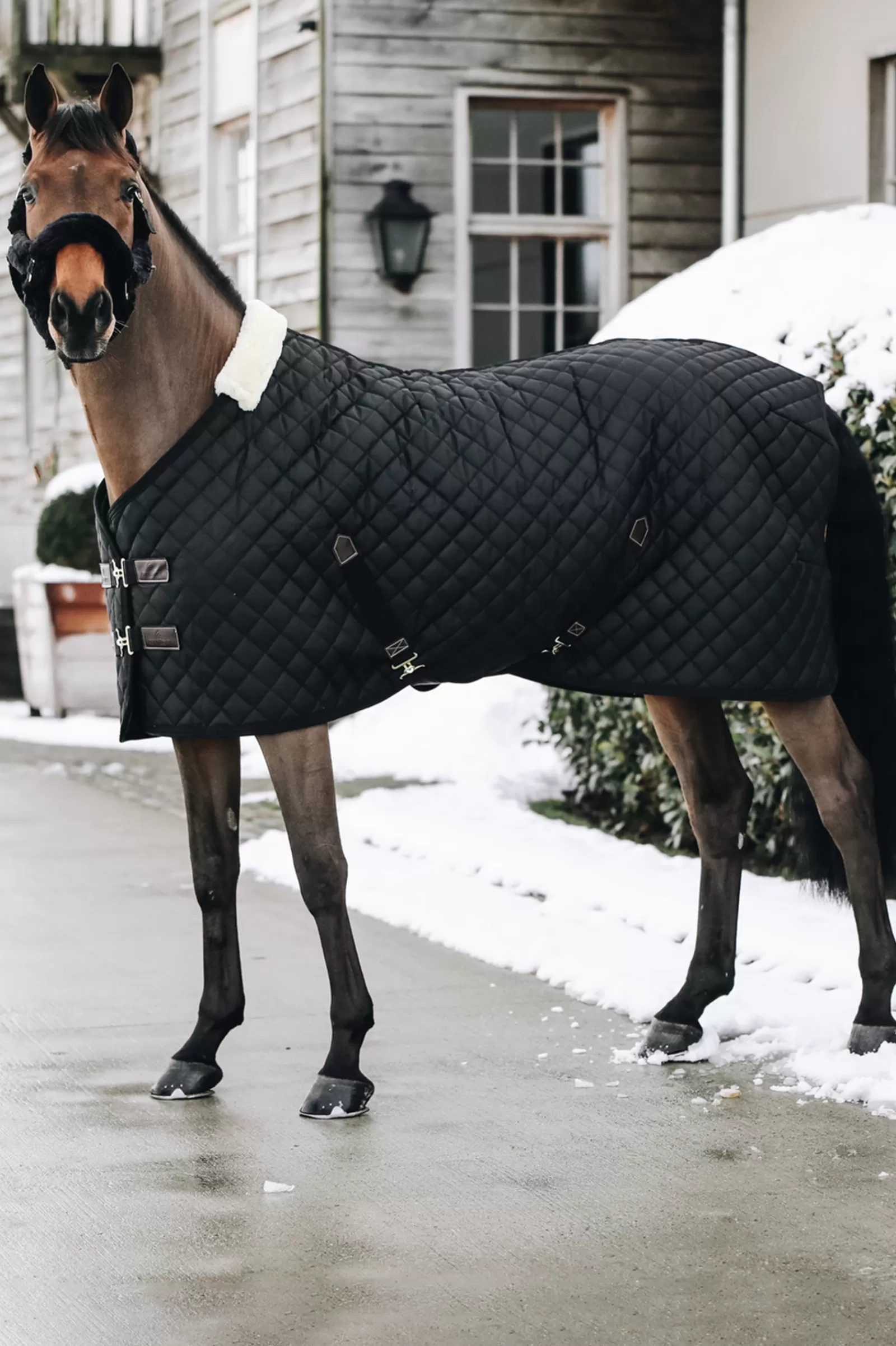 Best Sale Couverture D'écurie Horsewear 400G Couvertures D'écurie