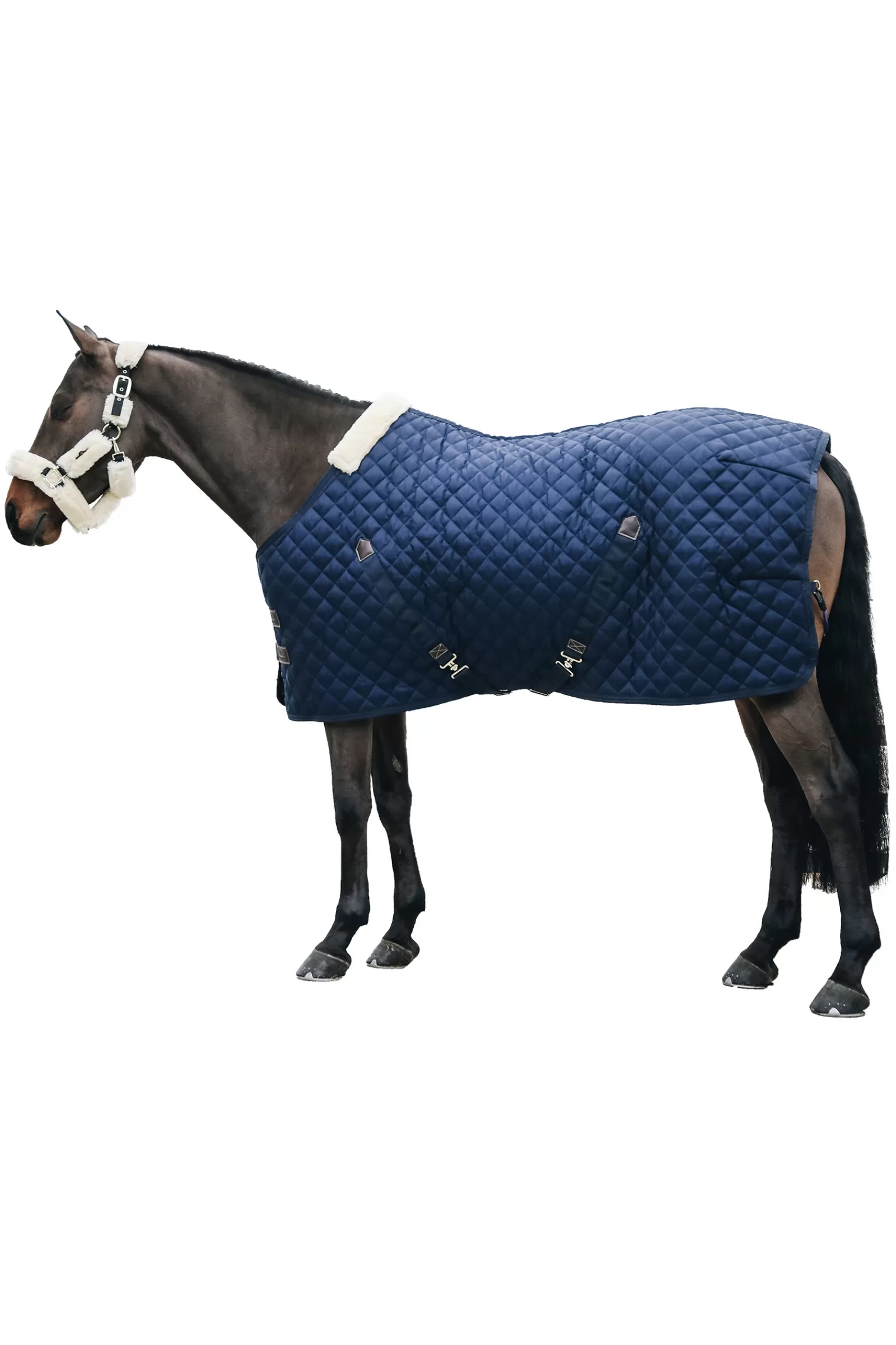 Cheap Couverture D'écurie Horsewear 400G Couvertures D'écurie