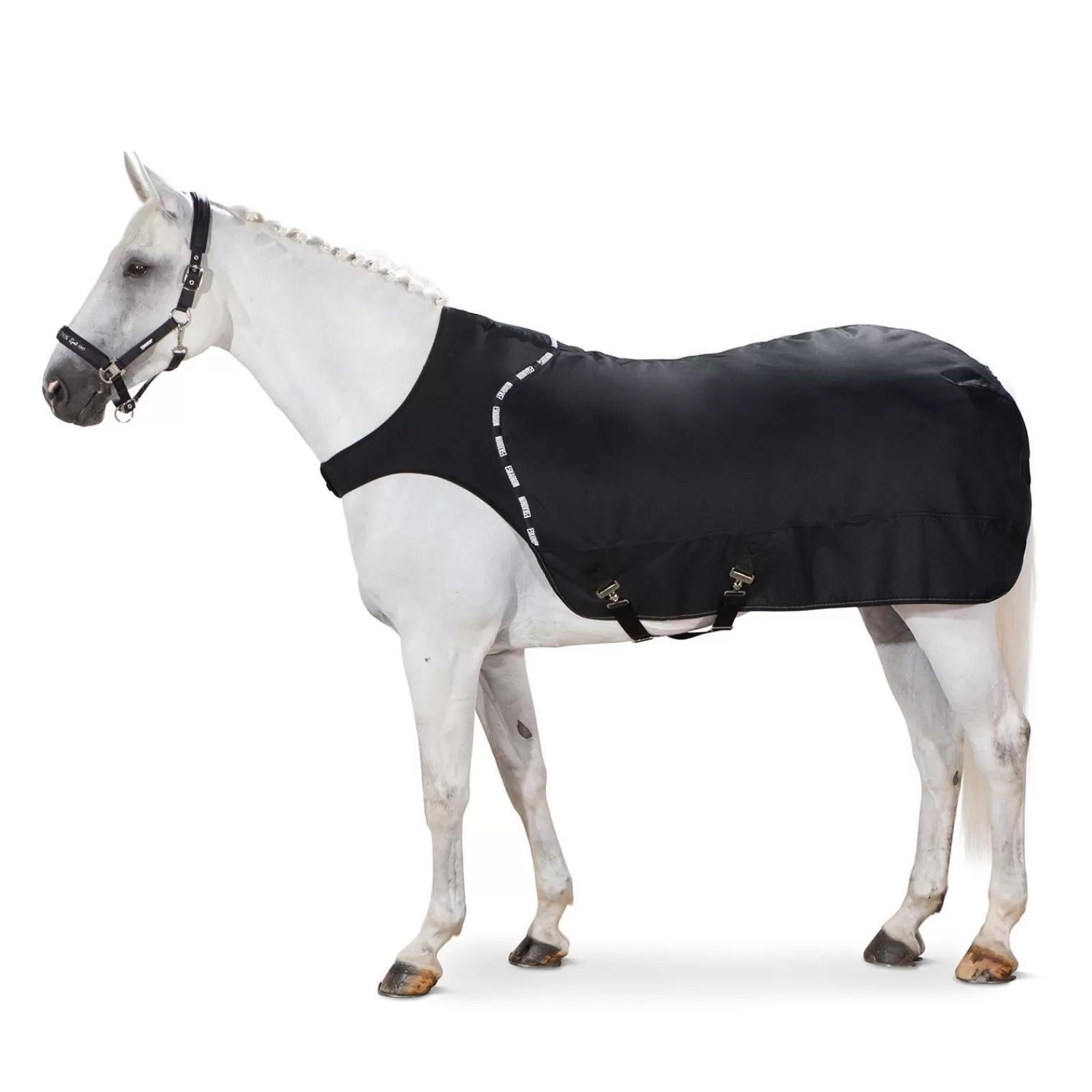 Sale Couverture De Marcheur Delta, 300 G Couvertures D'Exterieur Cheval