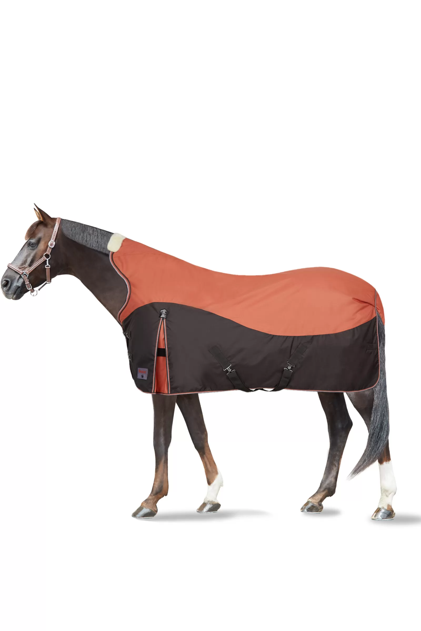 Hot Couverture D'Exterieur Avalanche Ave Protection D'Encolure Montante, 250 G Couvertures D'Exterieur Cheval