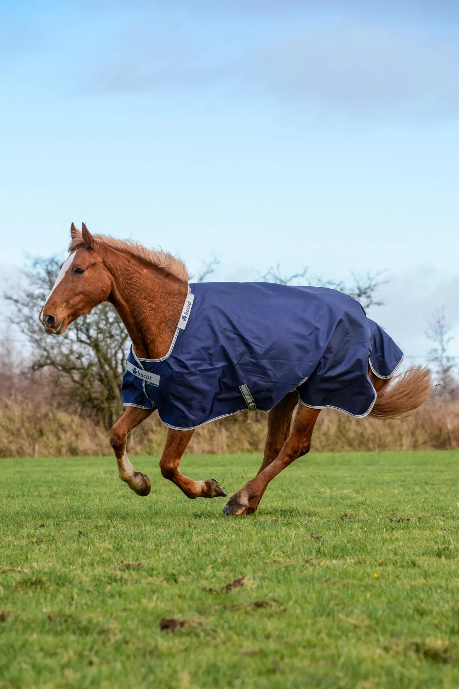 Best Sale Couverture D'Exterieur Atlantic 200 G, Grand Couvre-Cou Couvertures D'Exterieur Cheval