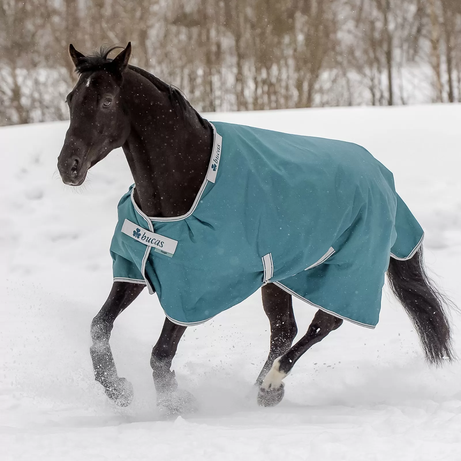 Outlet Couverture D'Exterieur Atlantic 400 G Couvertures D'Exterieur Cheval