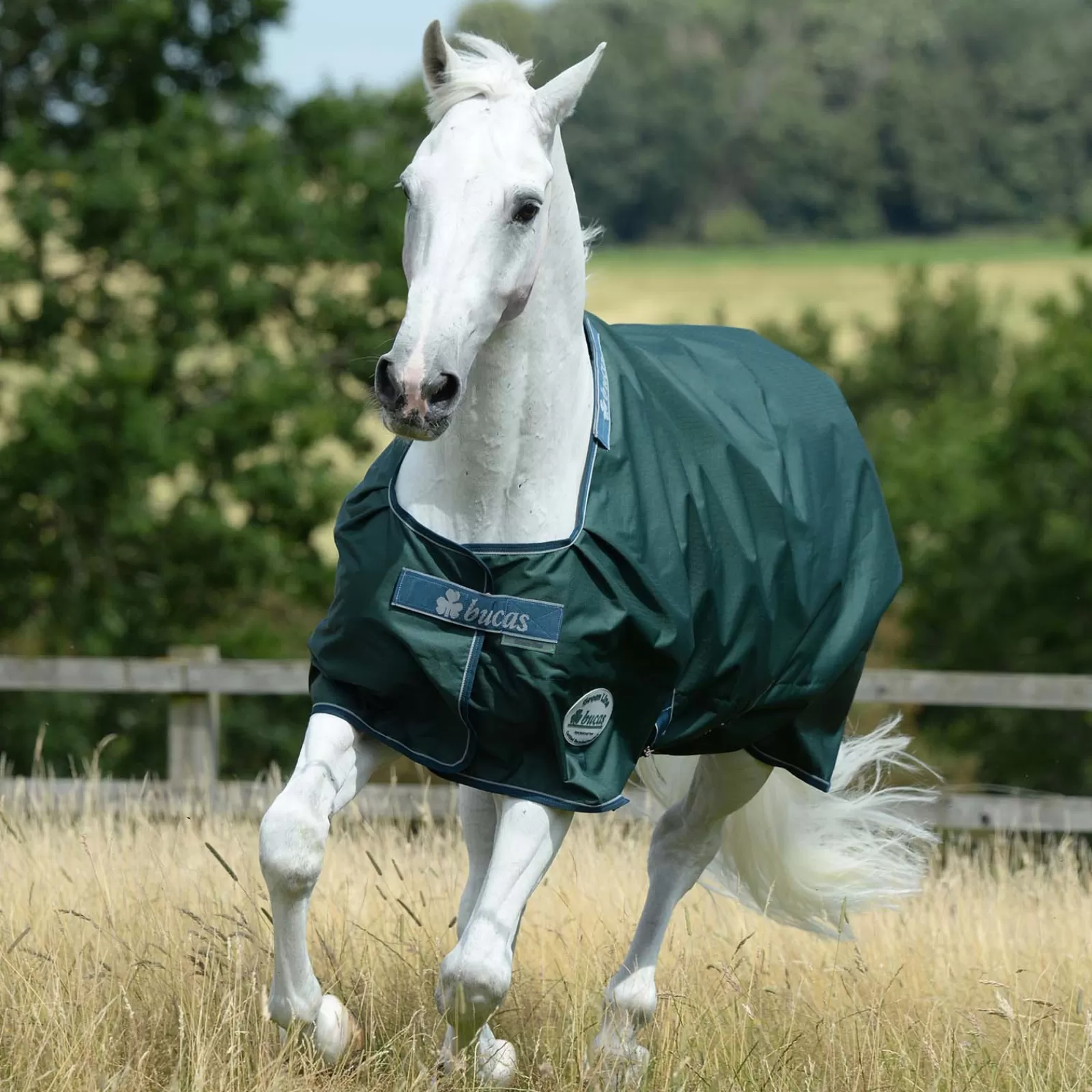 Flash Sale Couverture D'Exterieur Line Ligne Verte 300 G Couvertures D'Exterieur Cheval