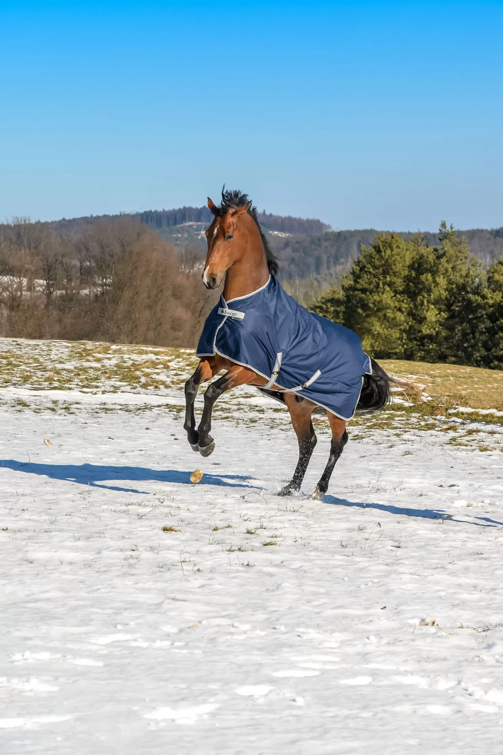 Best Sale Couverture D'Exterieur Freedom 150G Couvertures D'Exterieur Cheval