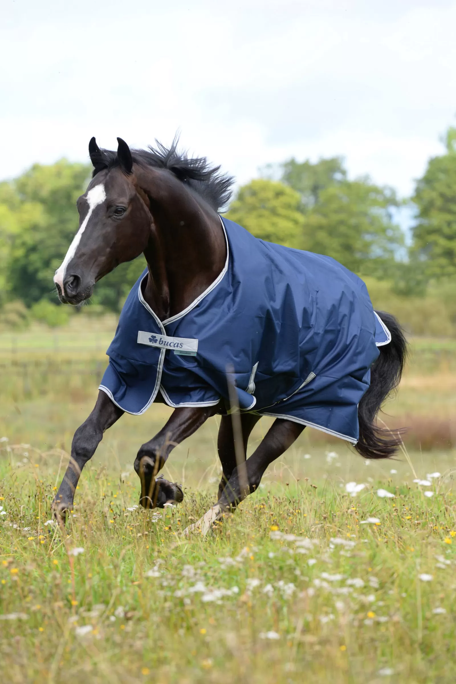 Best Sale Couverture D'Exterieur Freedom 150G Couvertures D'Exterieur Cheval