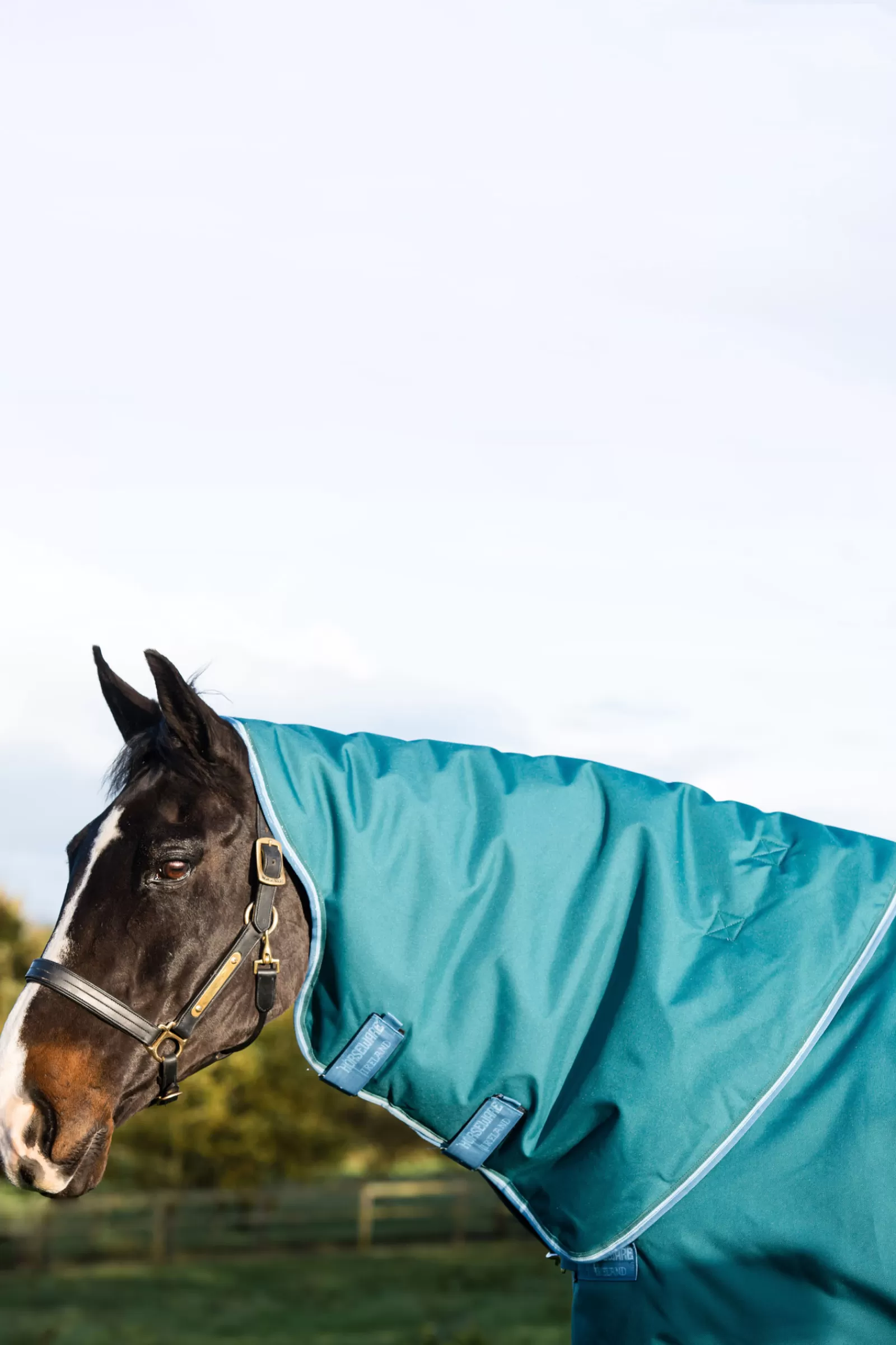 Sale Couverture D'Exterieur Amigo Bravo 12 Plus, 400 G Couvertures D'Exterieur Cheval