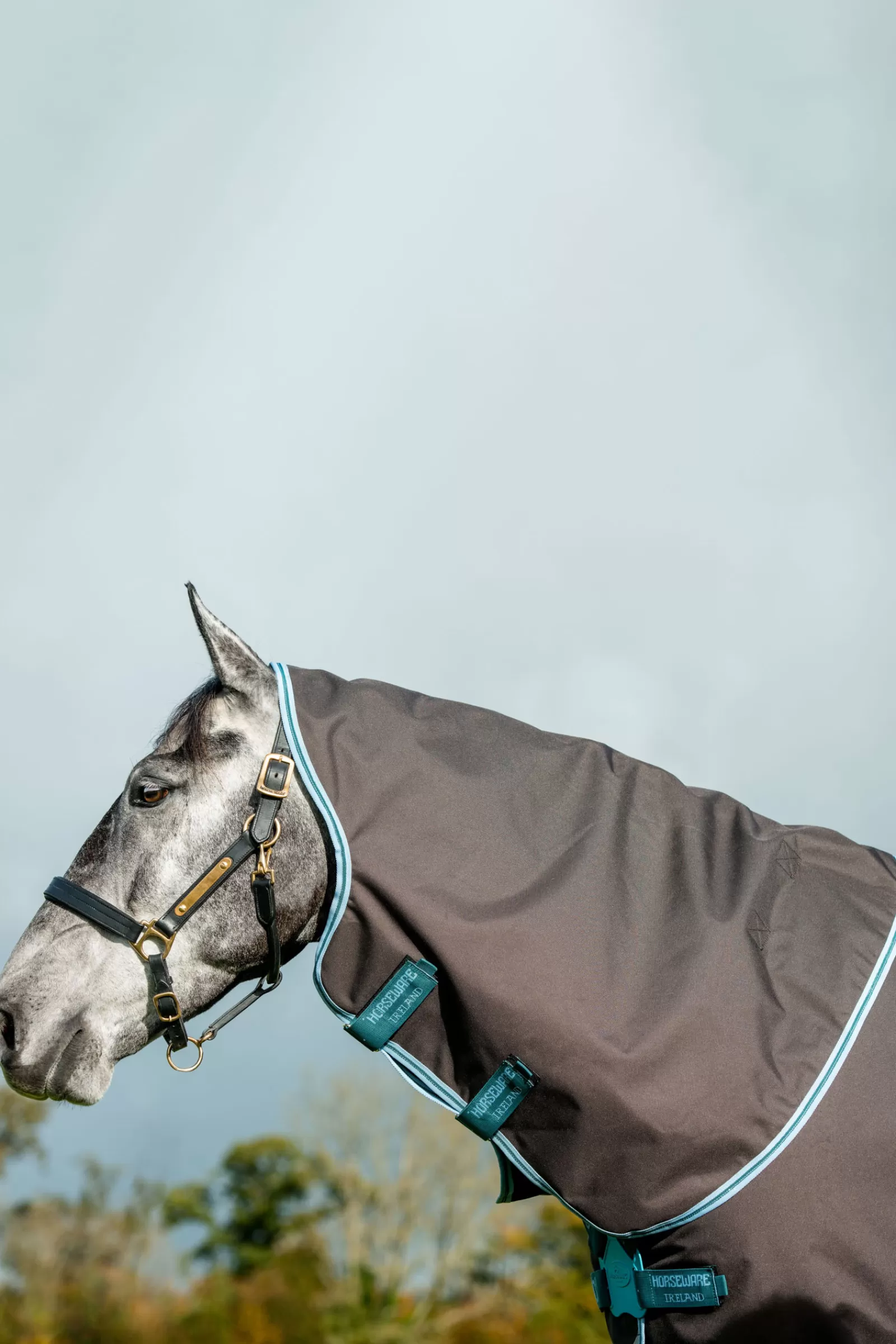 Online Couverture D'Exterieur Amigo Bravo 12 Plus Fermeture Disque, 250 G Couvertures D'Exterieur Cheval