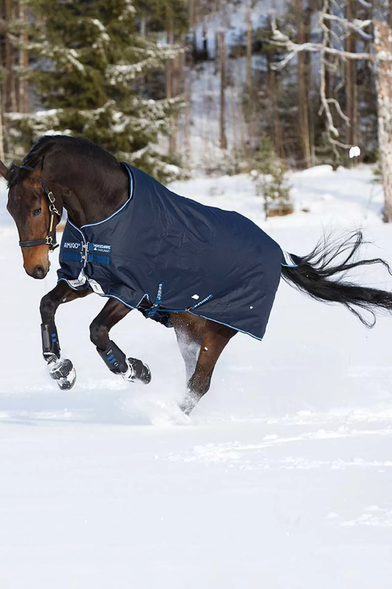 Online Couverture D'Exterieur Amigo Bravo 12 W/La, 400G. Couvertures D'Exterieur Cheval