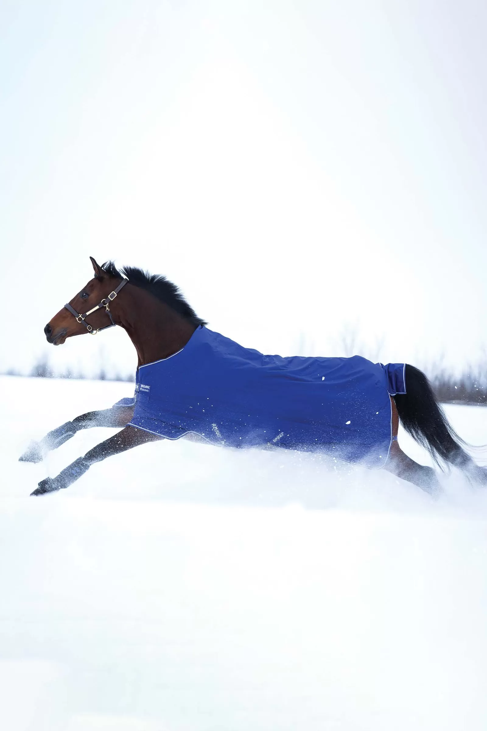 Clearance Couverture D'Exterieur Amigo Hero 900 T / O Medium, 200 G Couvertures D'Exterieur Cheval