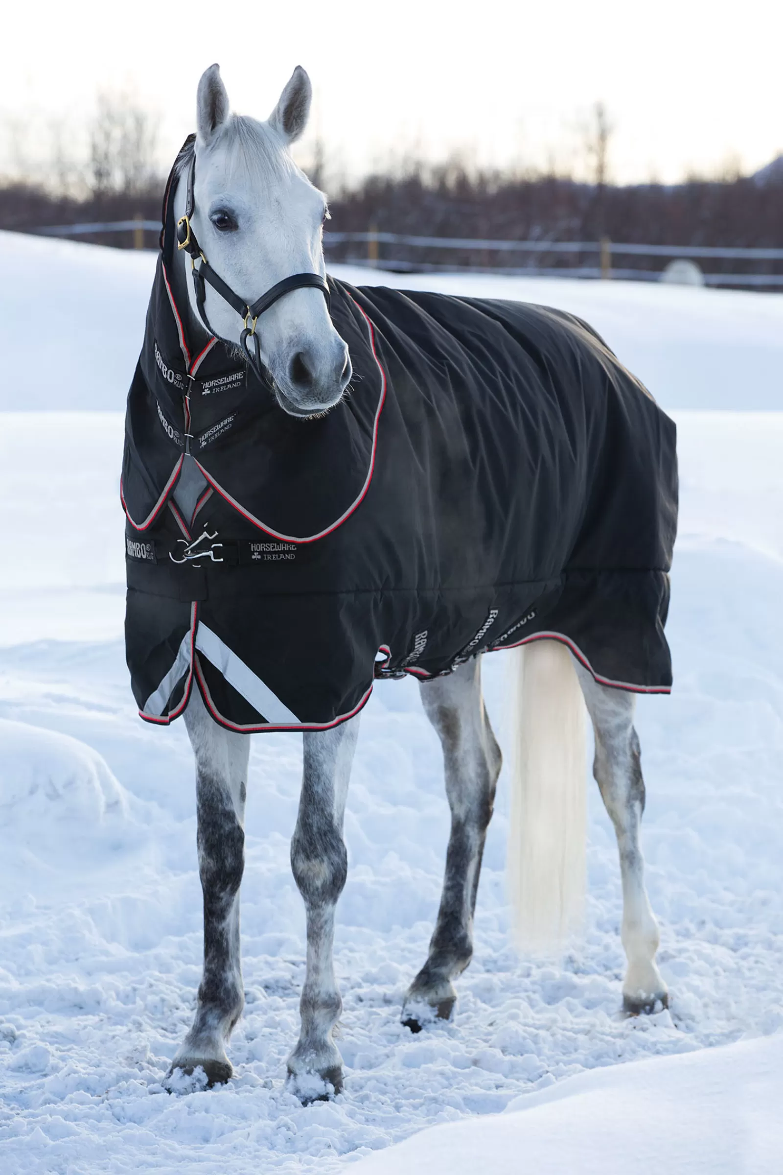 Shop Couverture D'Exterieur Rambo Supreme 420G Couvertures D'Exterieur Cheval