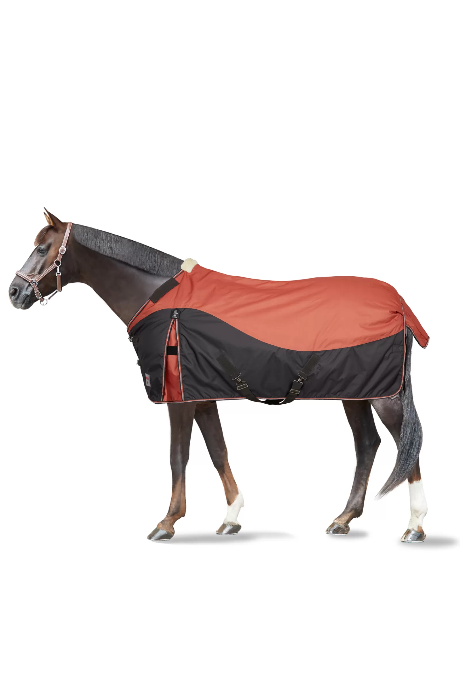 Online Couverture D'Exterieur Lucerne, 250 G Couvertures D'Exterieur Cheval