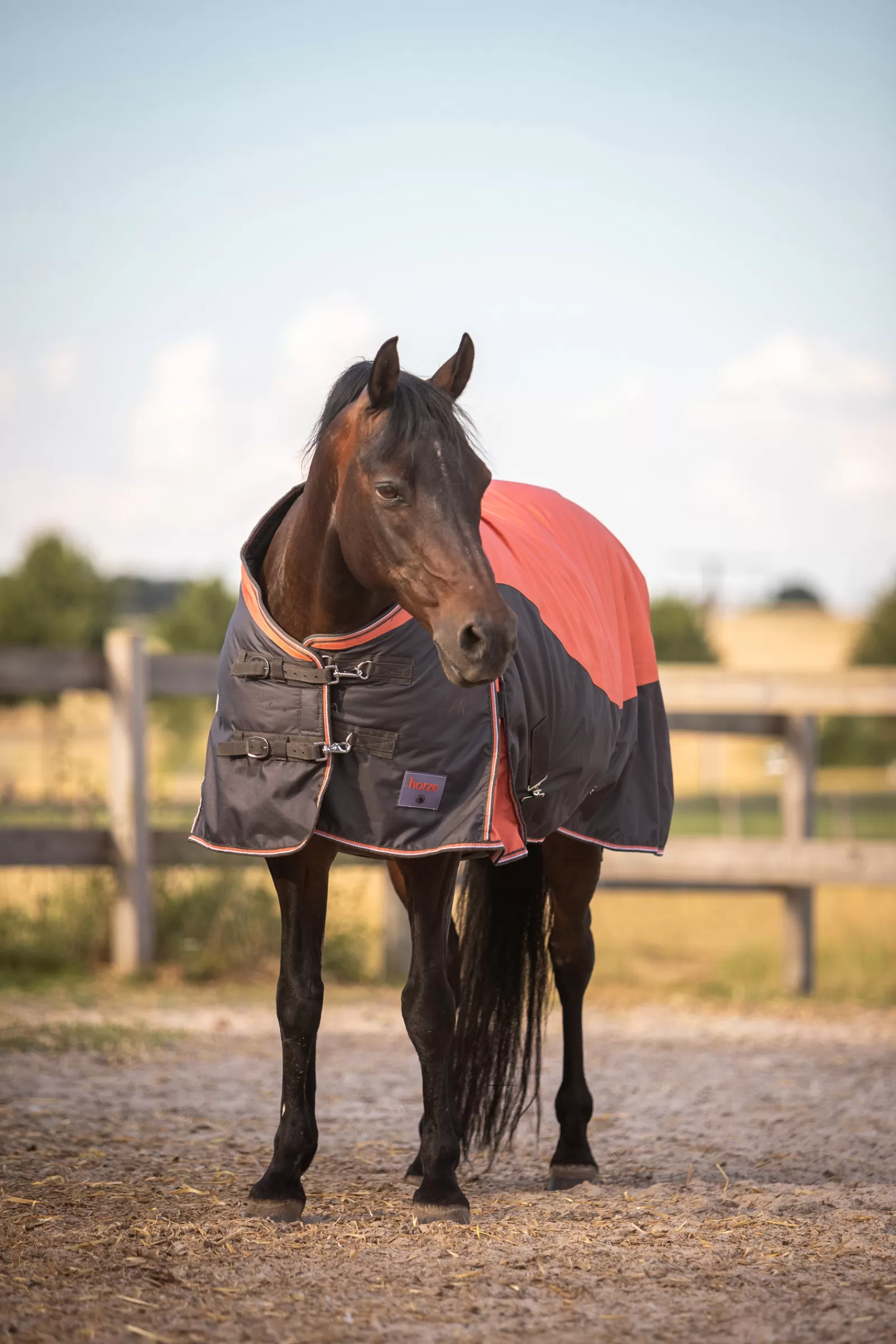 Online Couverture D'Exterieur Lucerne, 250 G Couvertures D'Exterieur Cheval