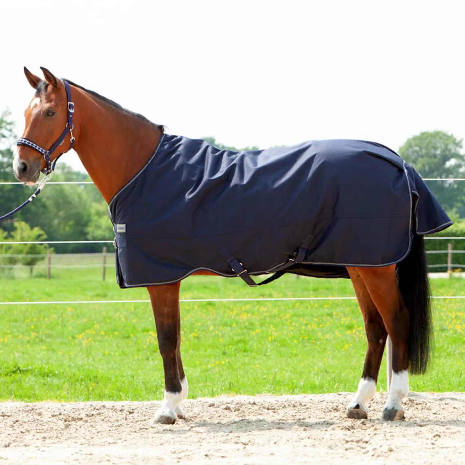 Discount Couverture D'Exterieur Montreal, 200 G Couvertures D'Exterieur Cheval