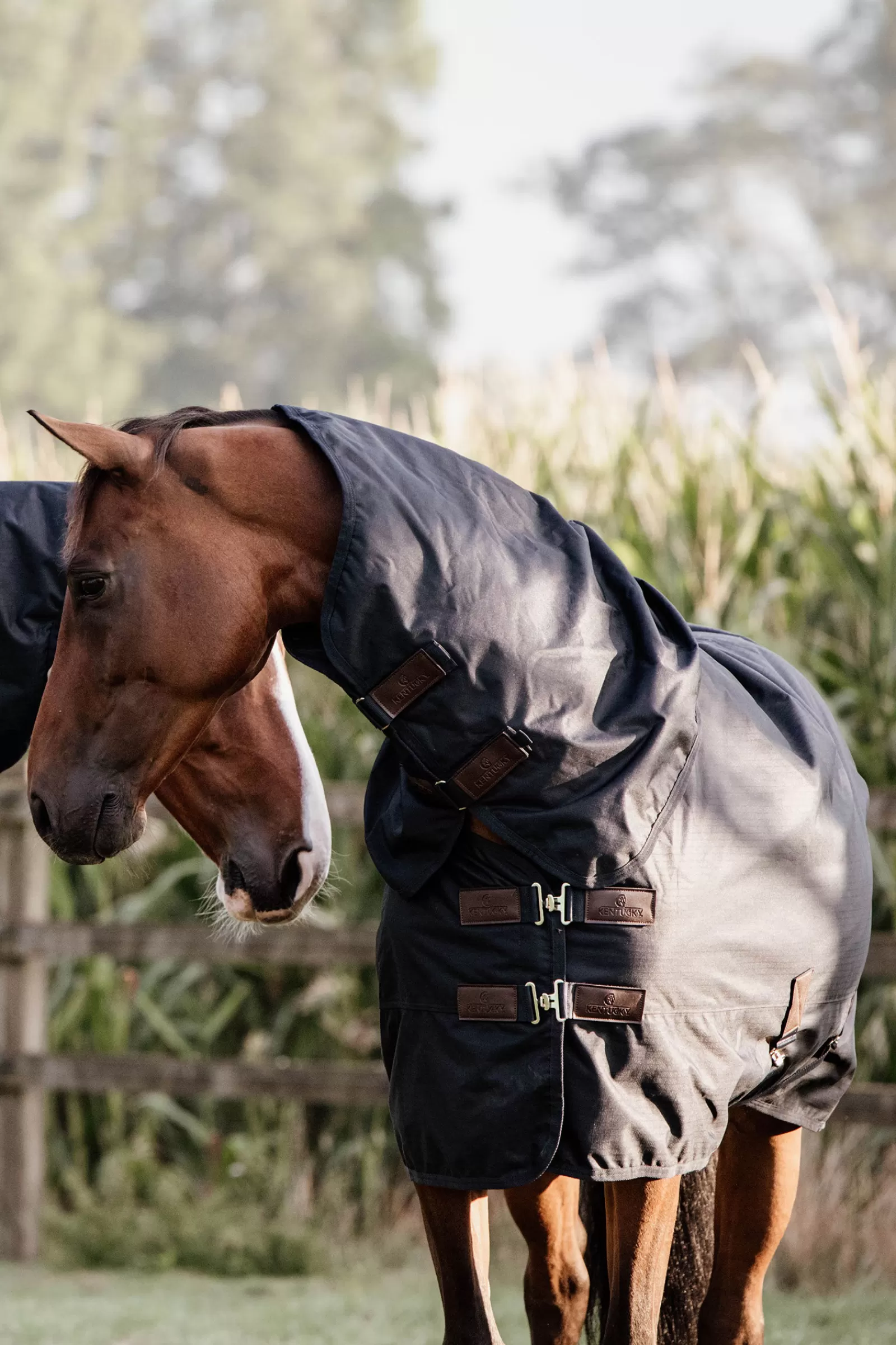 Discount Couverture D'Exterieur Tout Temps Impermeable Horsewear Classic, 150 G Couvertures D'Exterieur Cheval