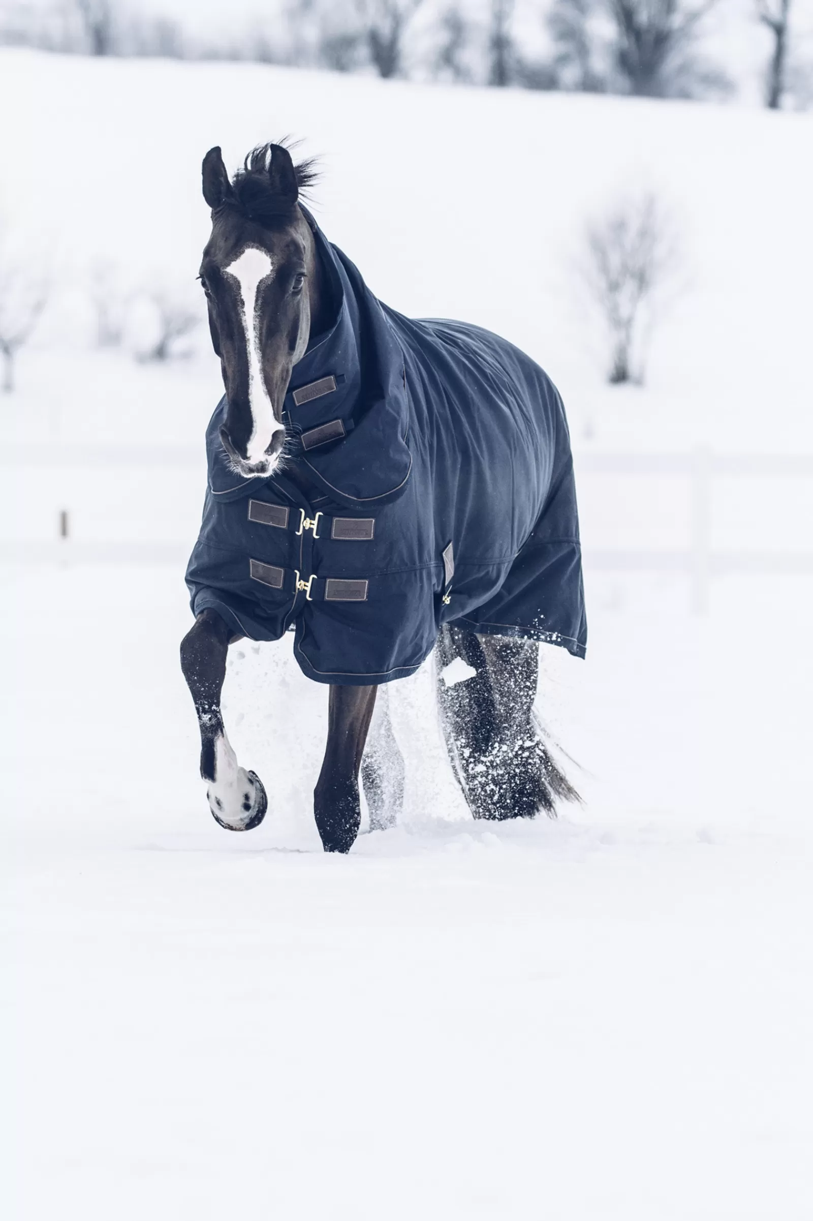 Fashion Couverture D'Exterieur Tout Temps Impermeable Horsewear Classic, 300 G Couvertures D'Exterieur Cheval